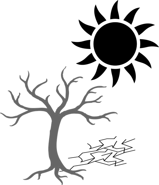 heatwave3625696_640.png