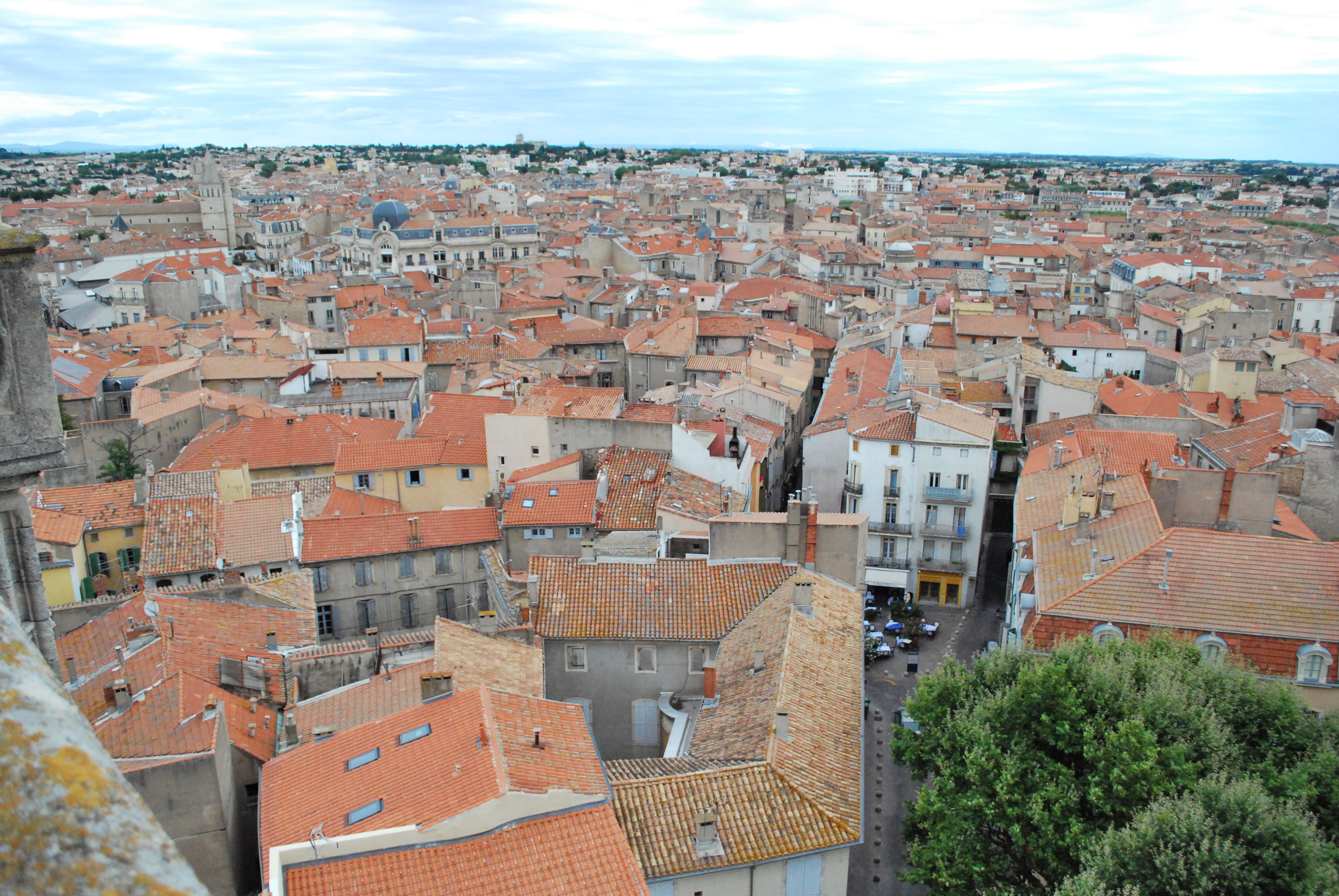 DSC_4957.JPG