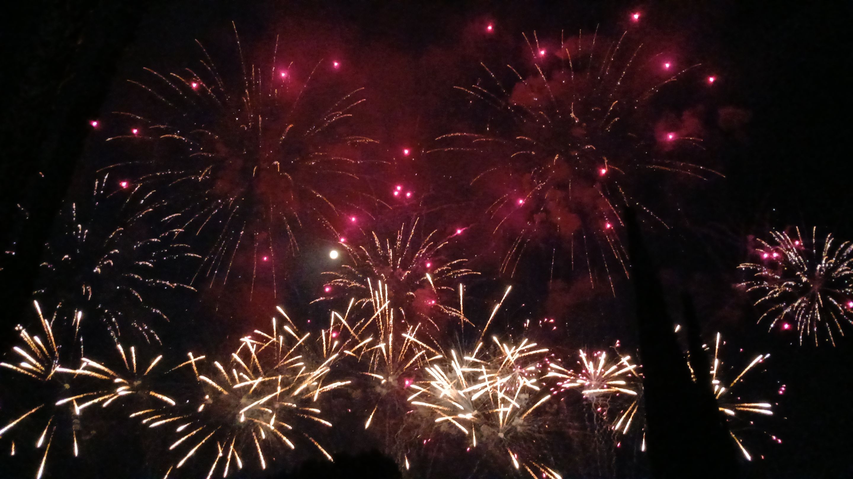 20250810_000536.jpg