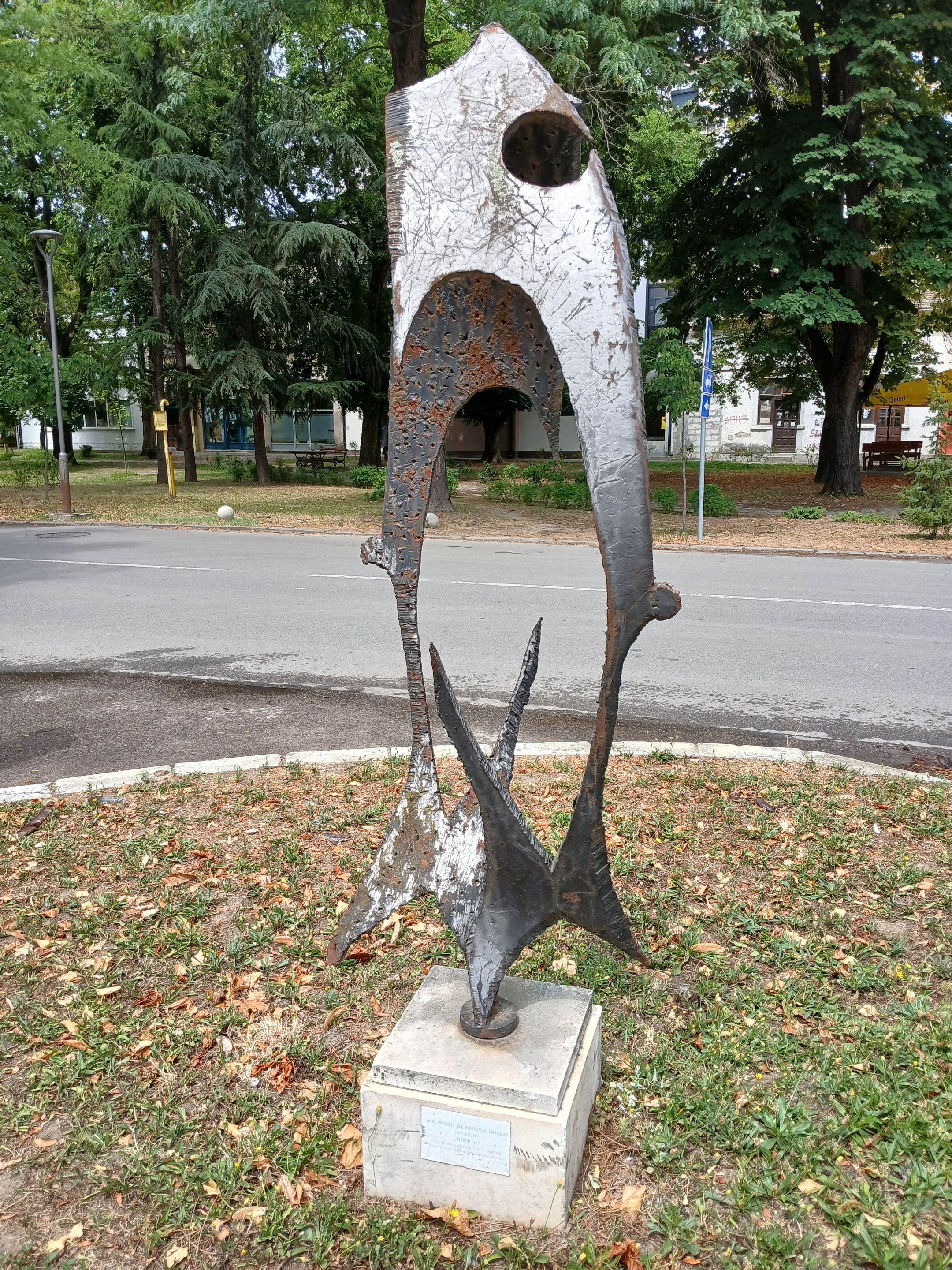 20250722_133646.jpg