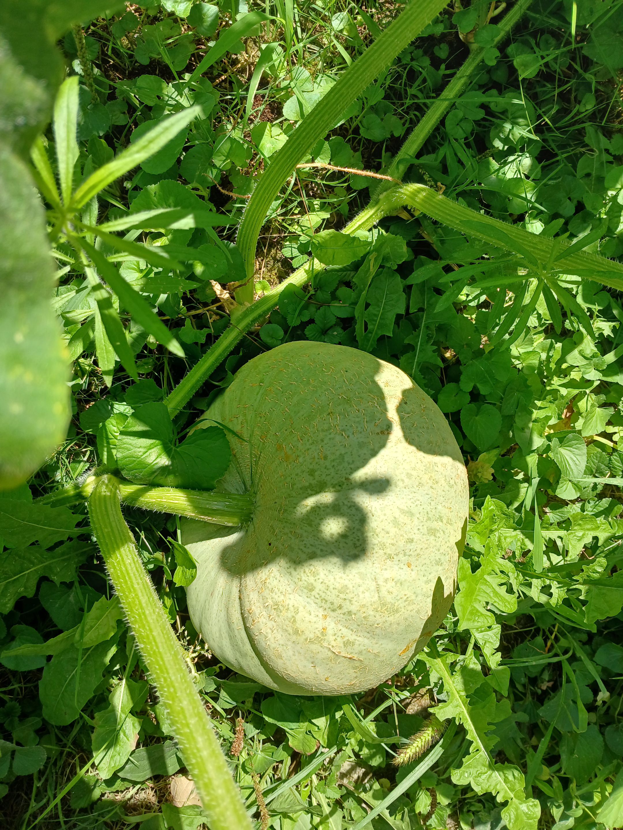 20250725_104327.jpg