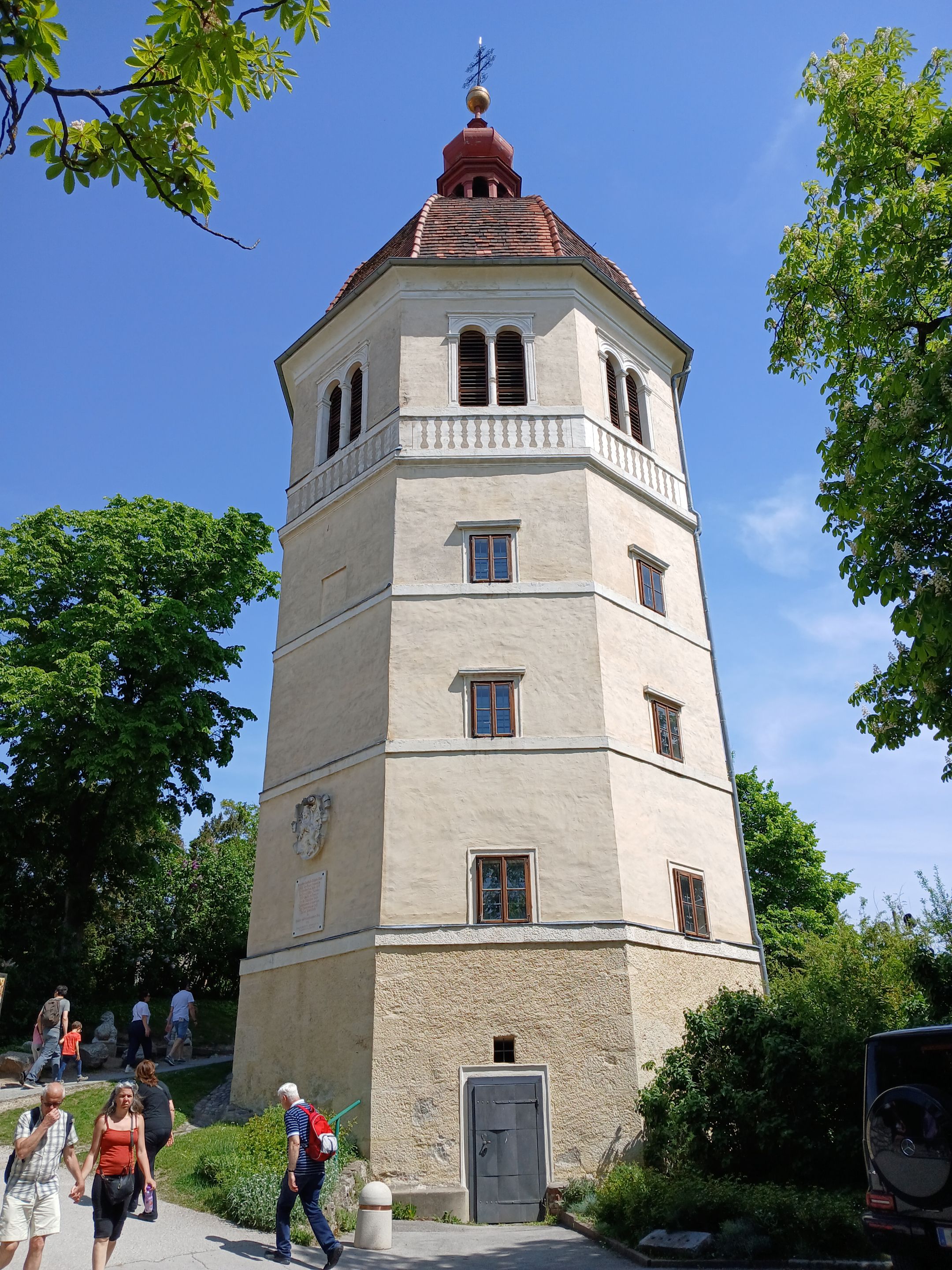 20250503_121530.jpg/