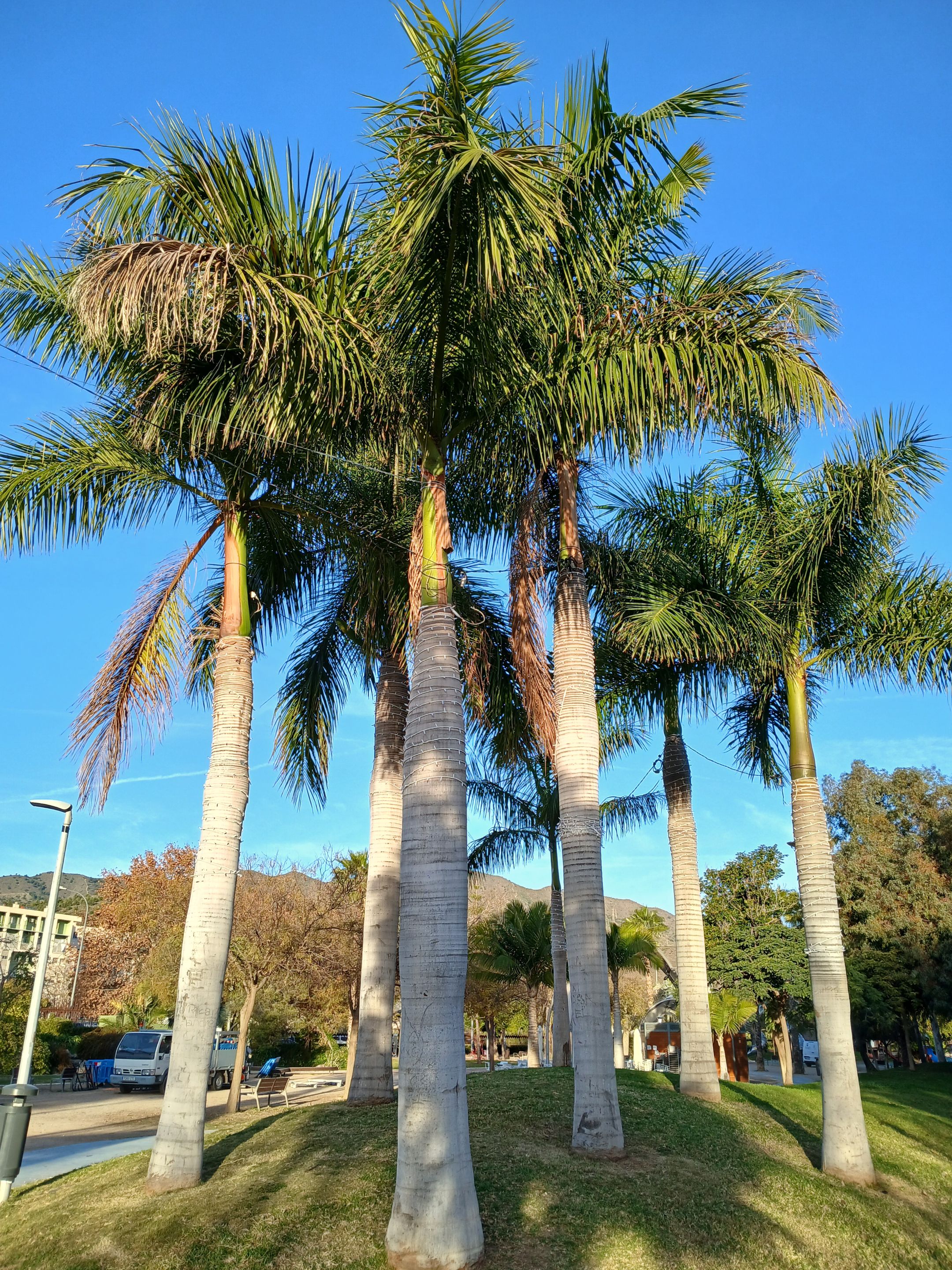 20250103_092946.jpg