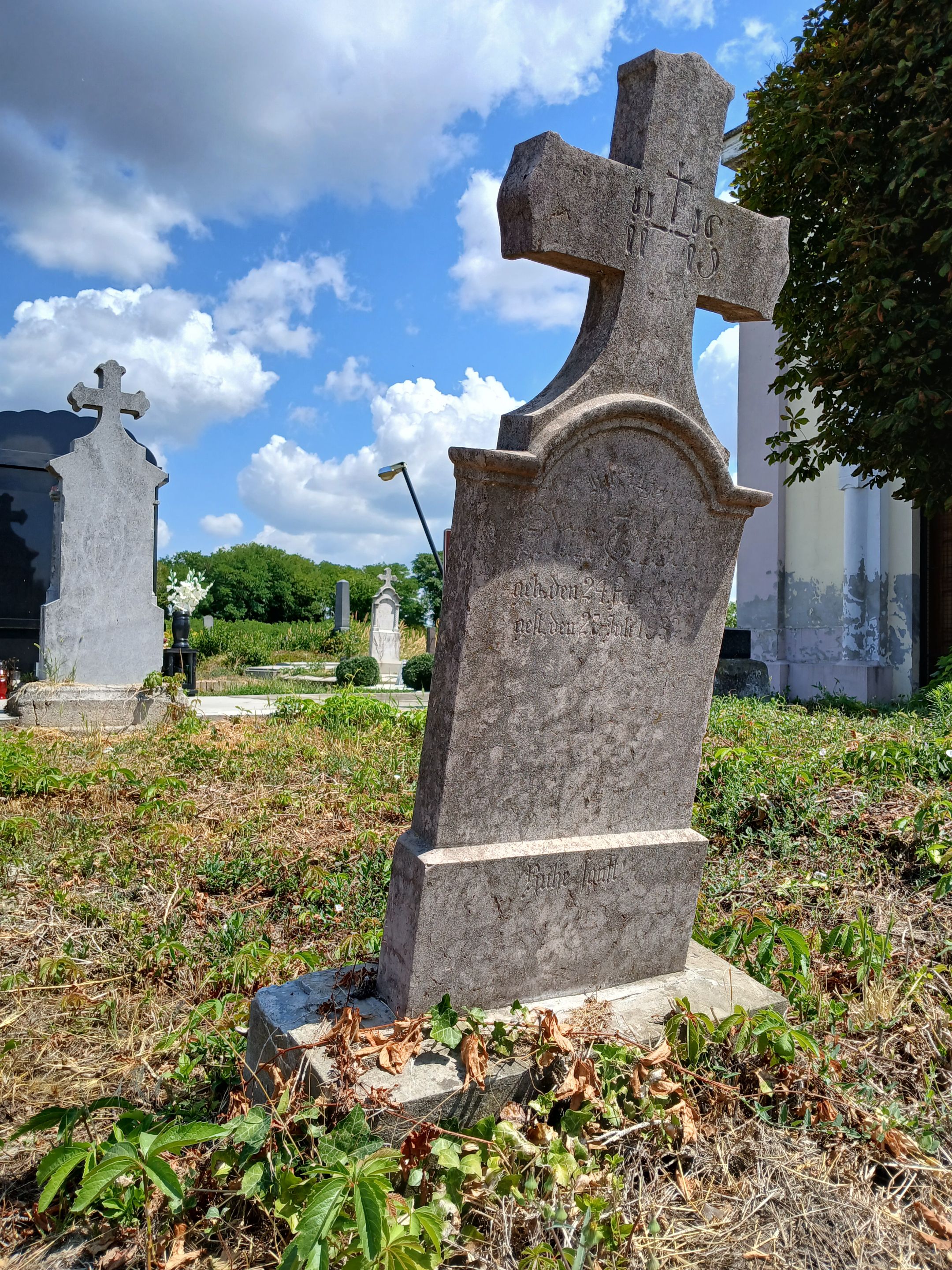 20250730_123156.jpg