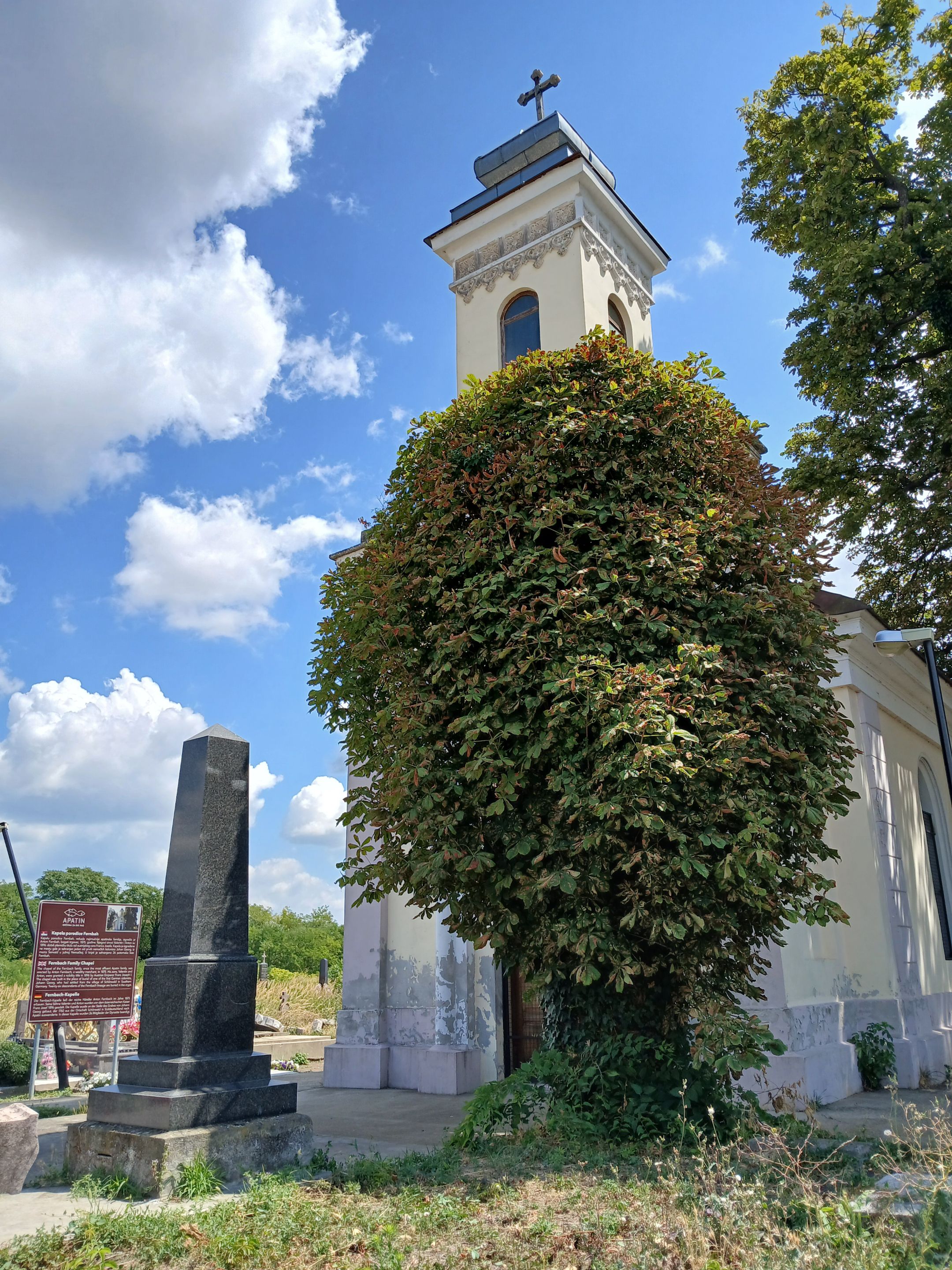 20250730_123141.jpg