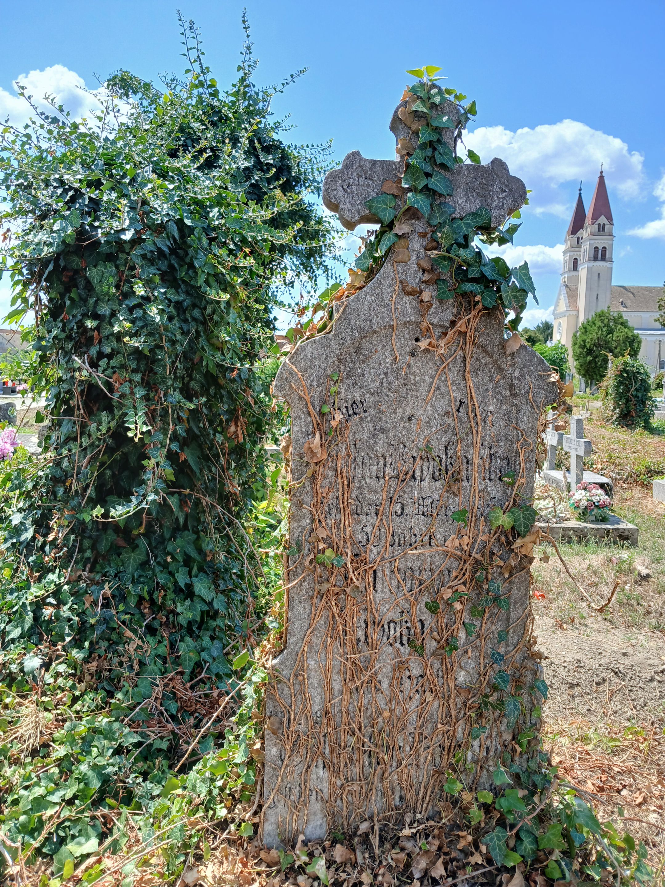 20250730_122650.jpg