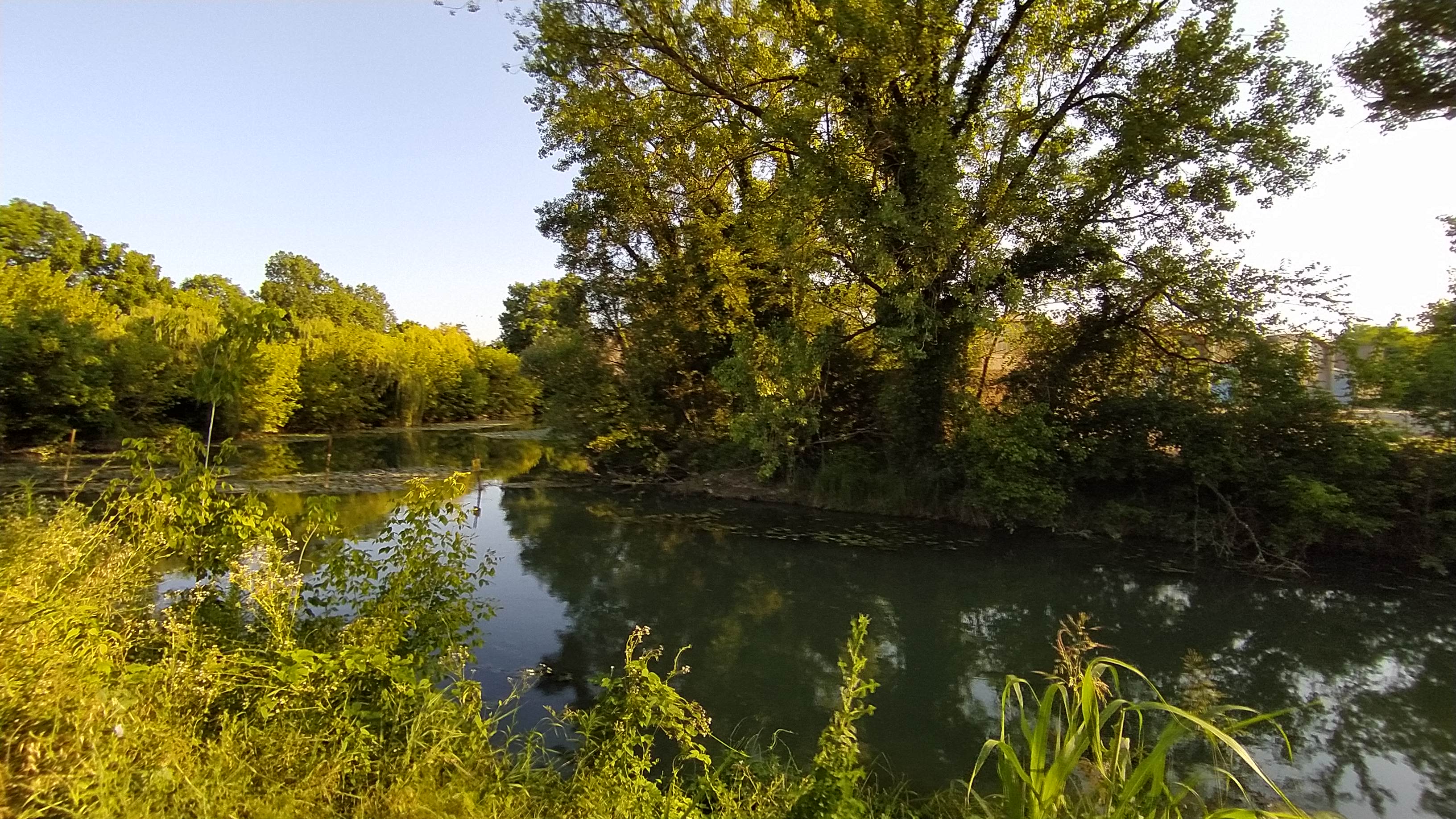 IMG_20210707_185538.jpg