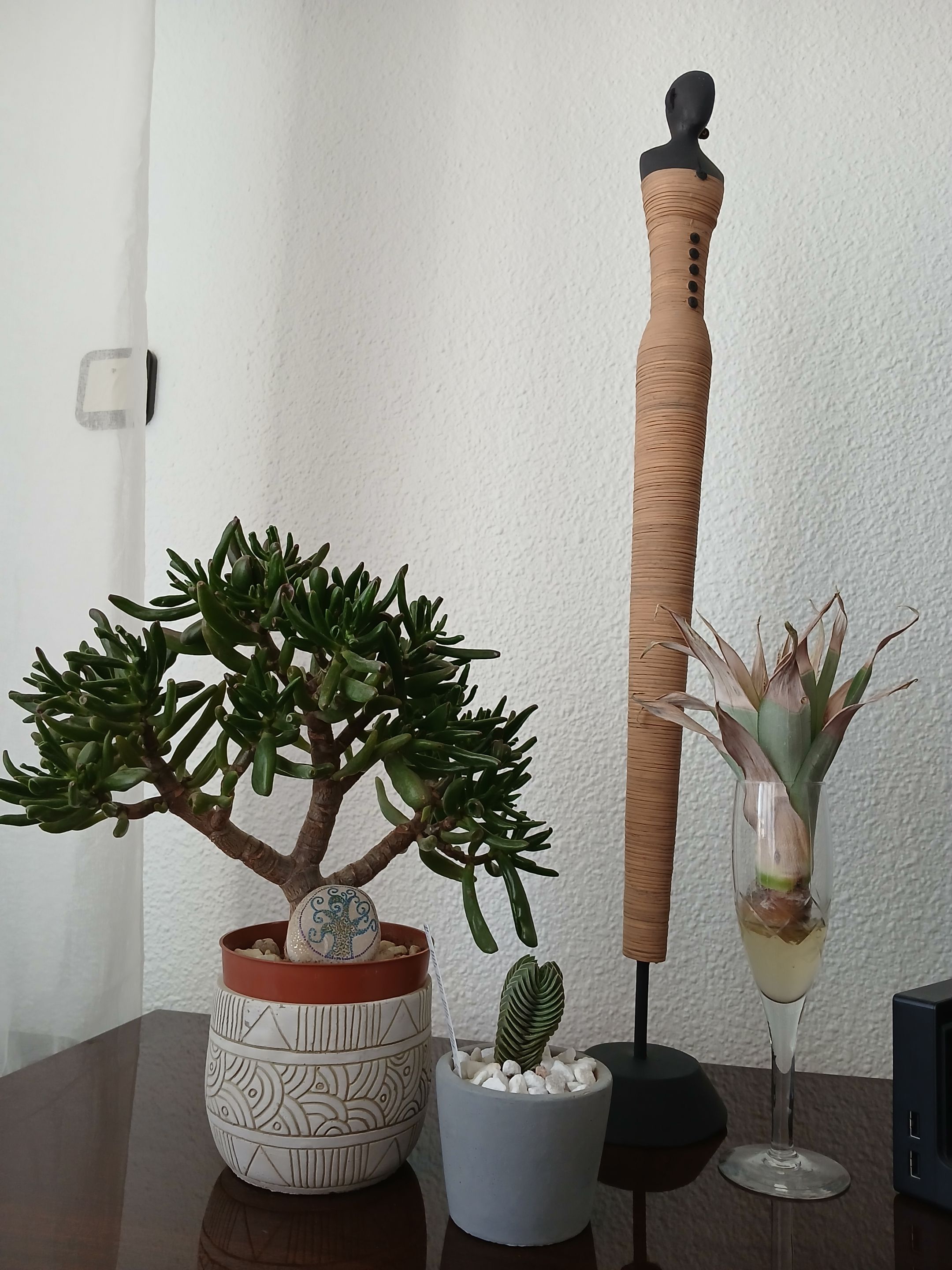 20250626_165408.jpg