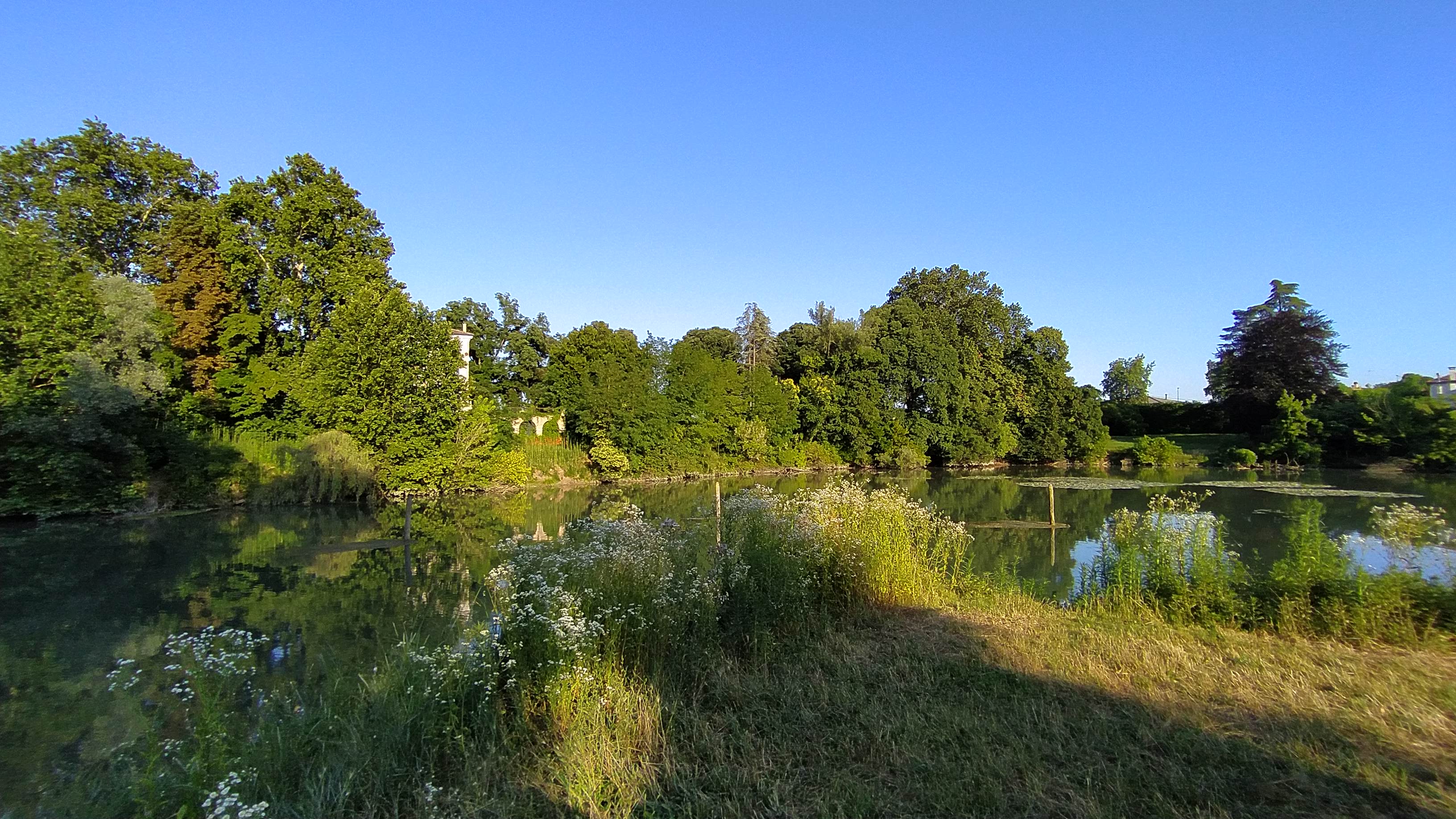 IMG_20210707_185859.jpg