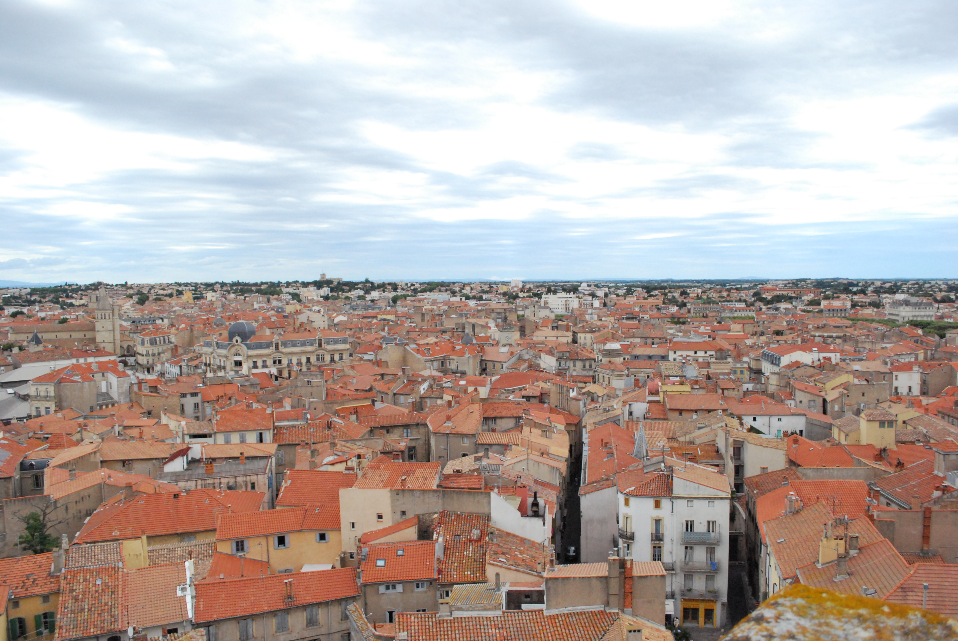 DSC_4959.JPG