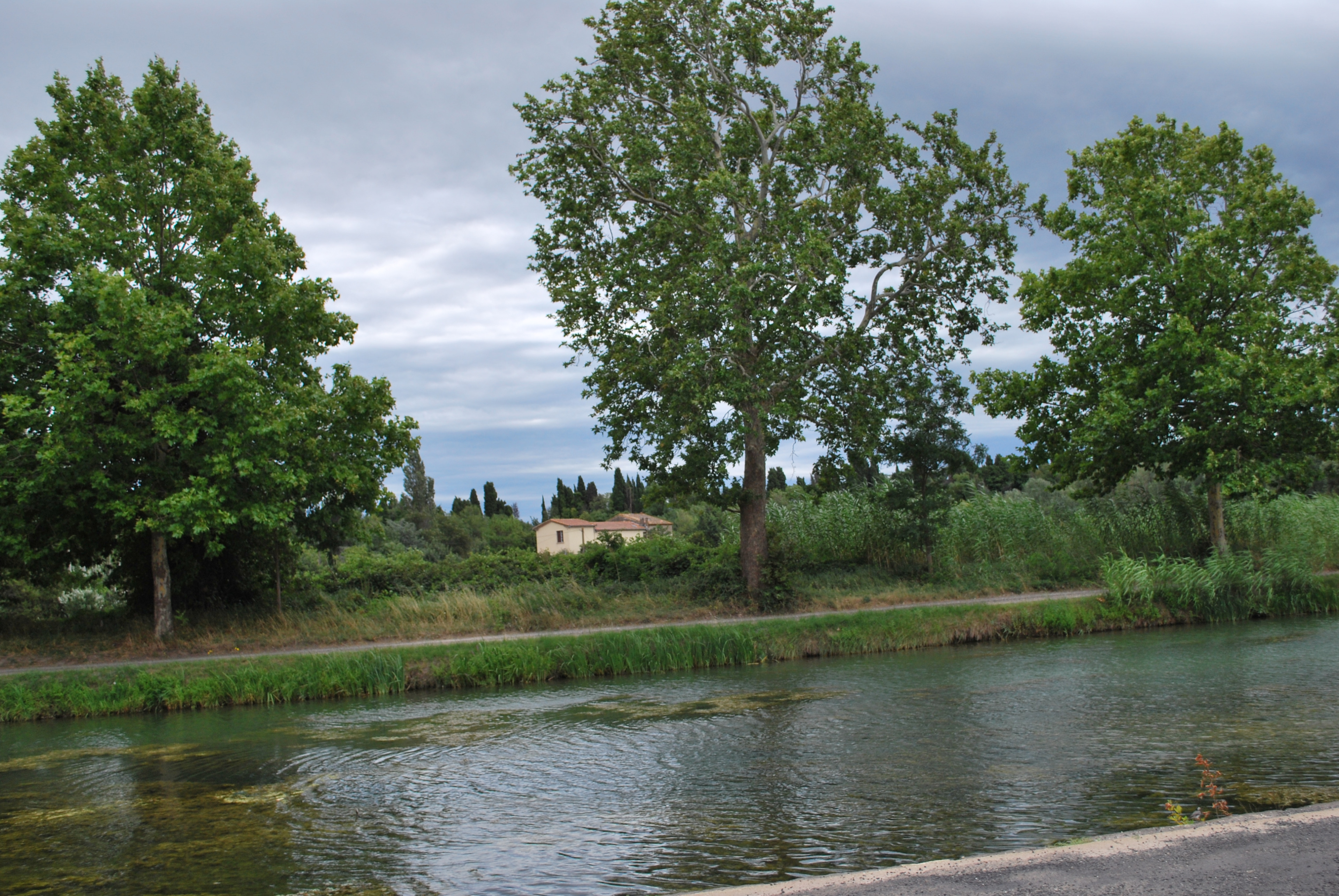 DSC_4837.JPG