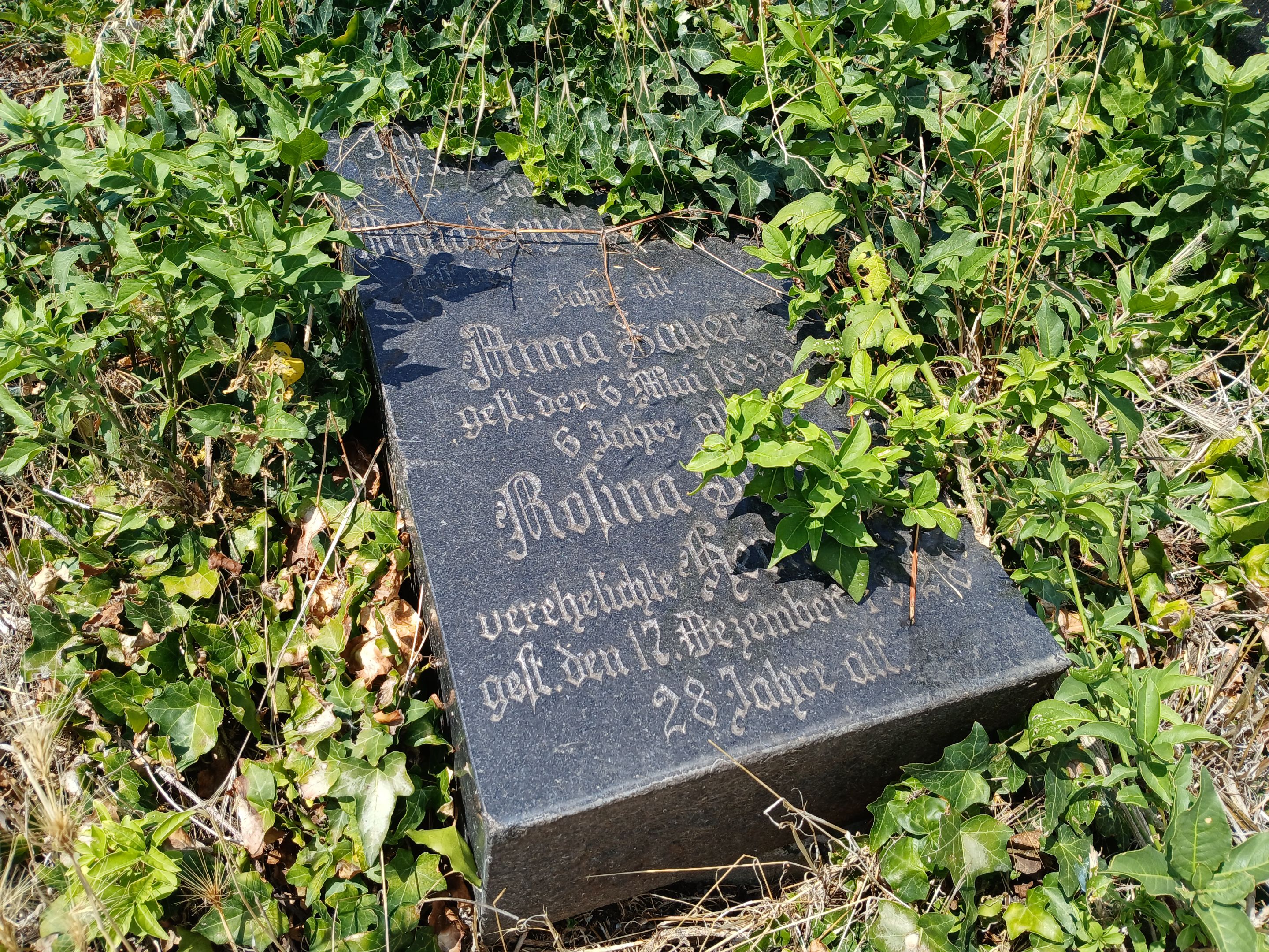 20250730_123650.jpg
