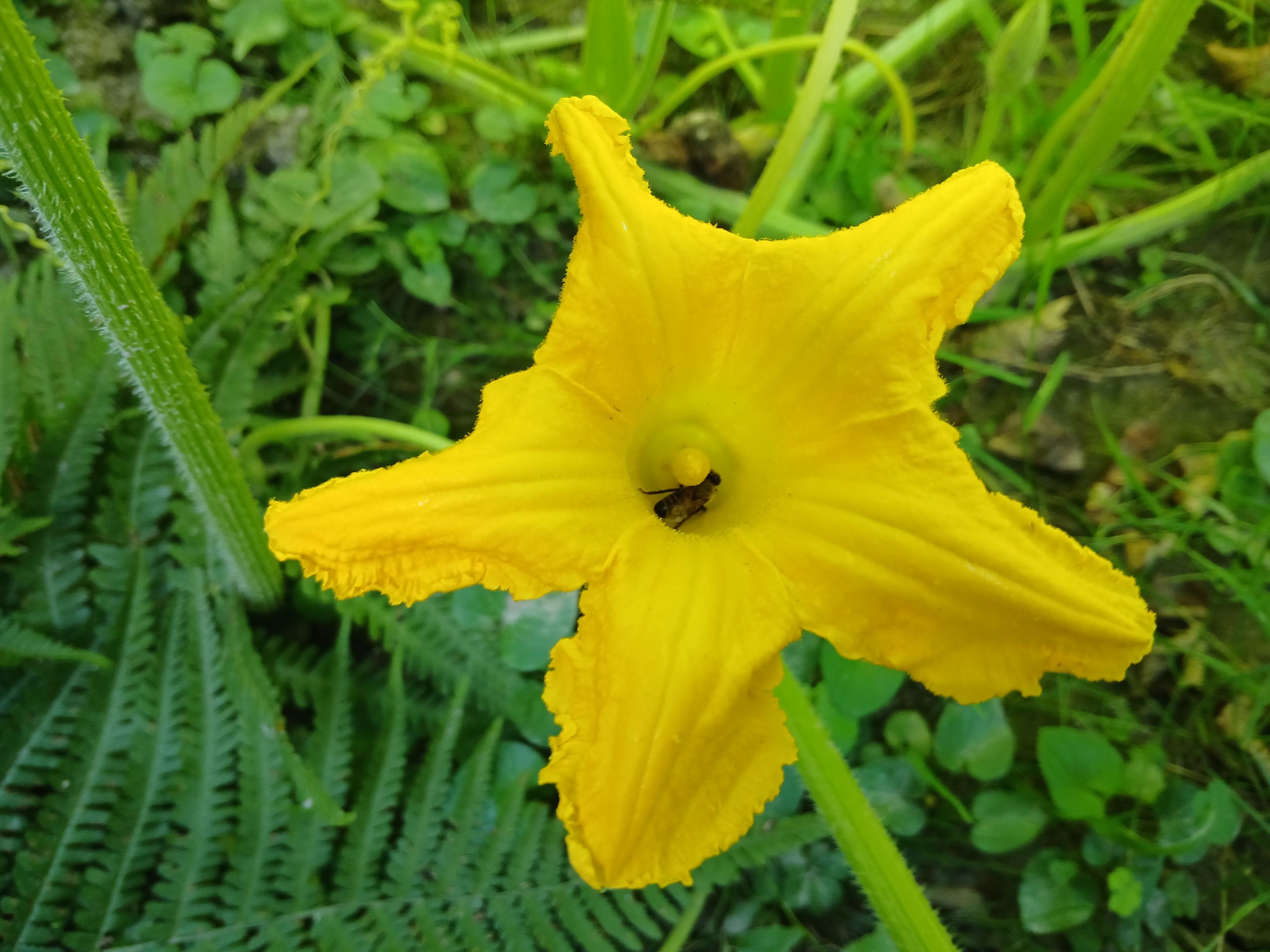 20250725_104000.jpg