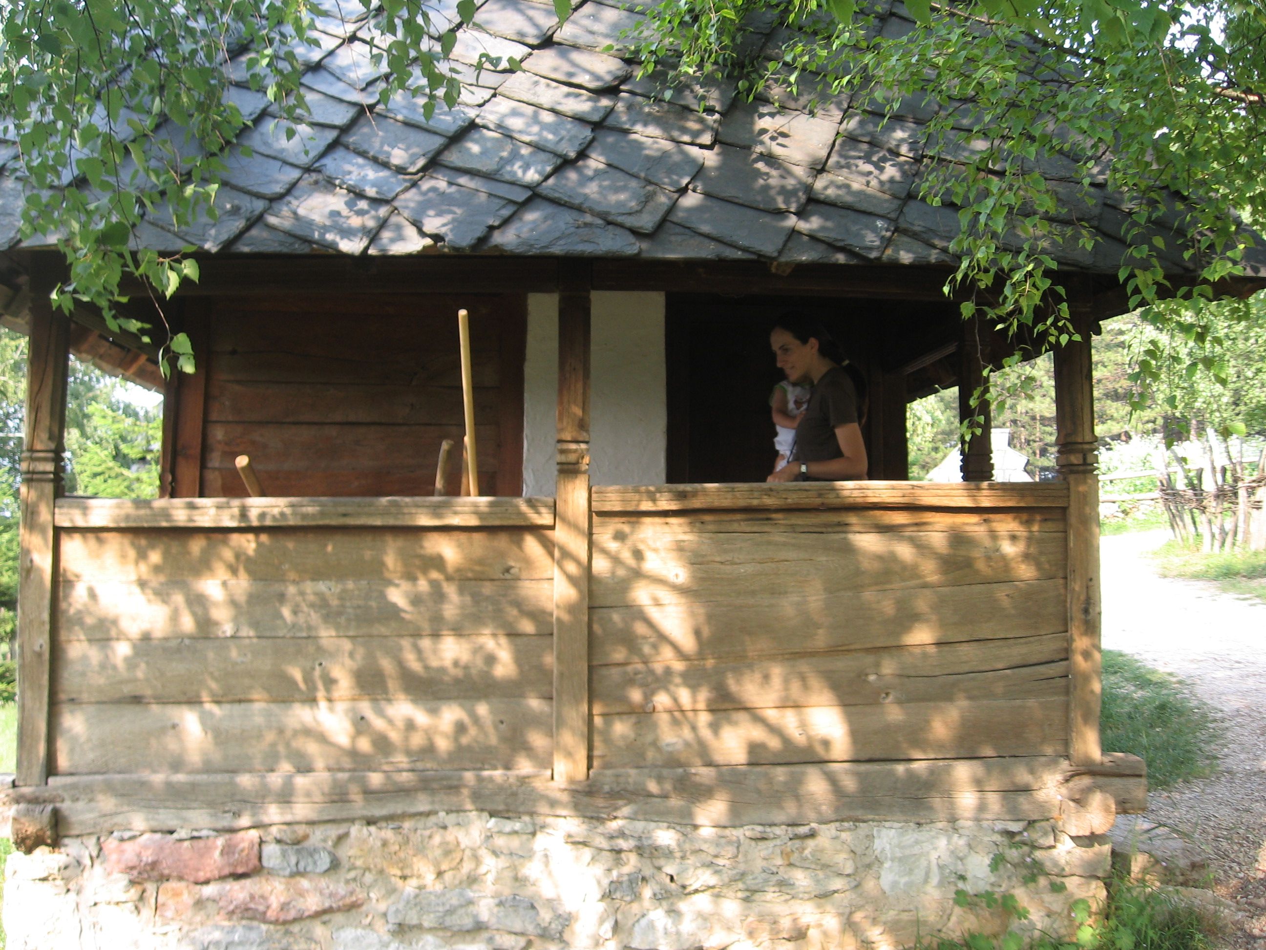 Picture 206.jpg