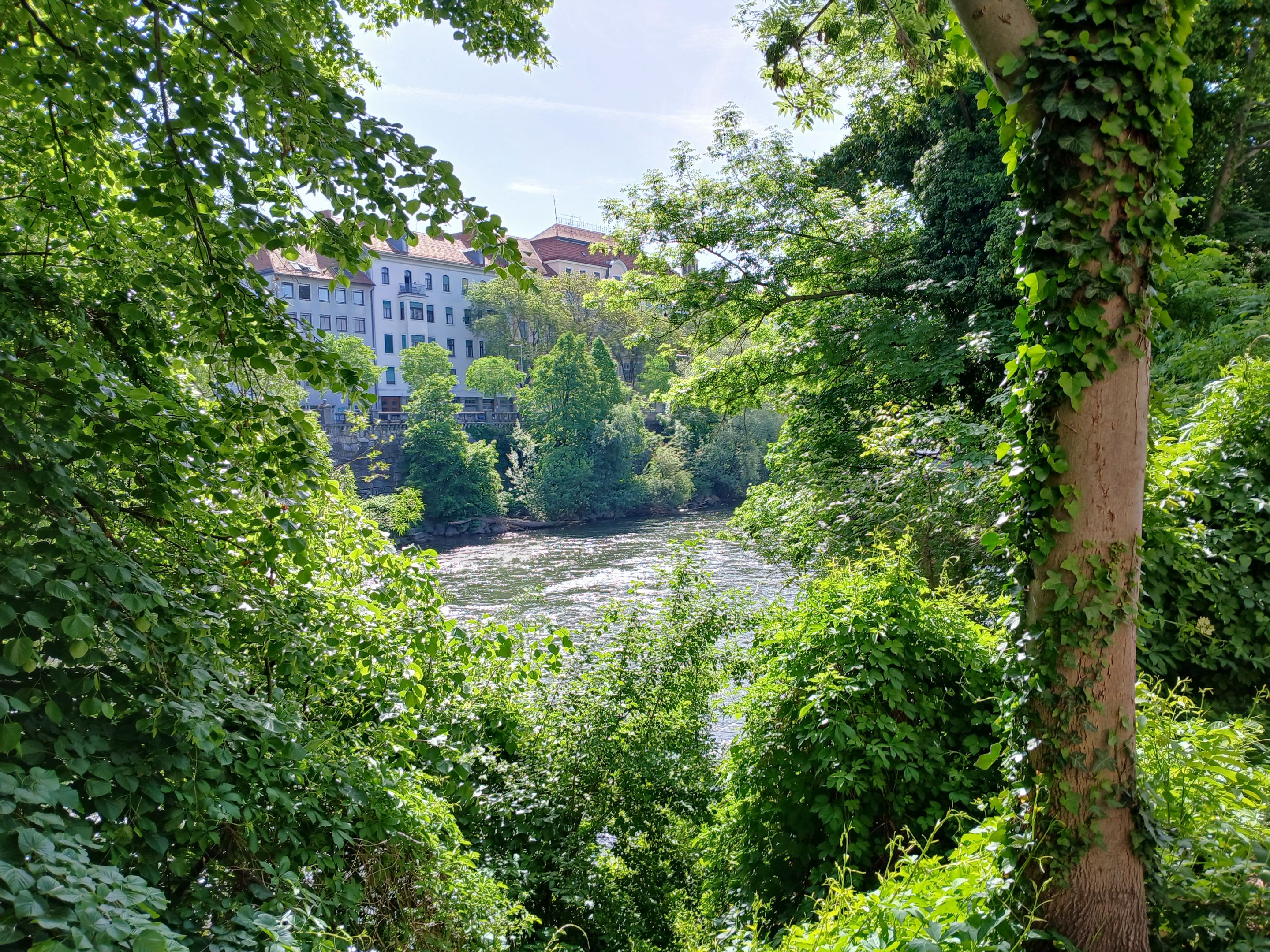 20250503_102654.jpg/