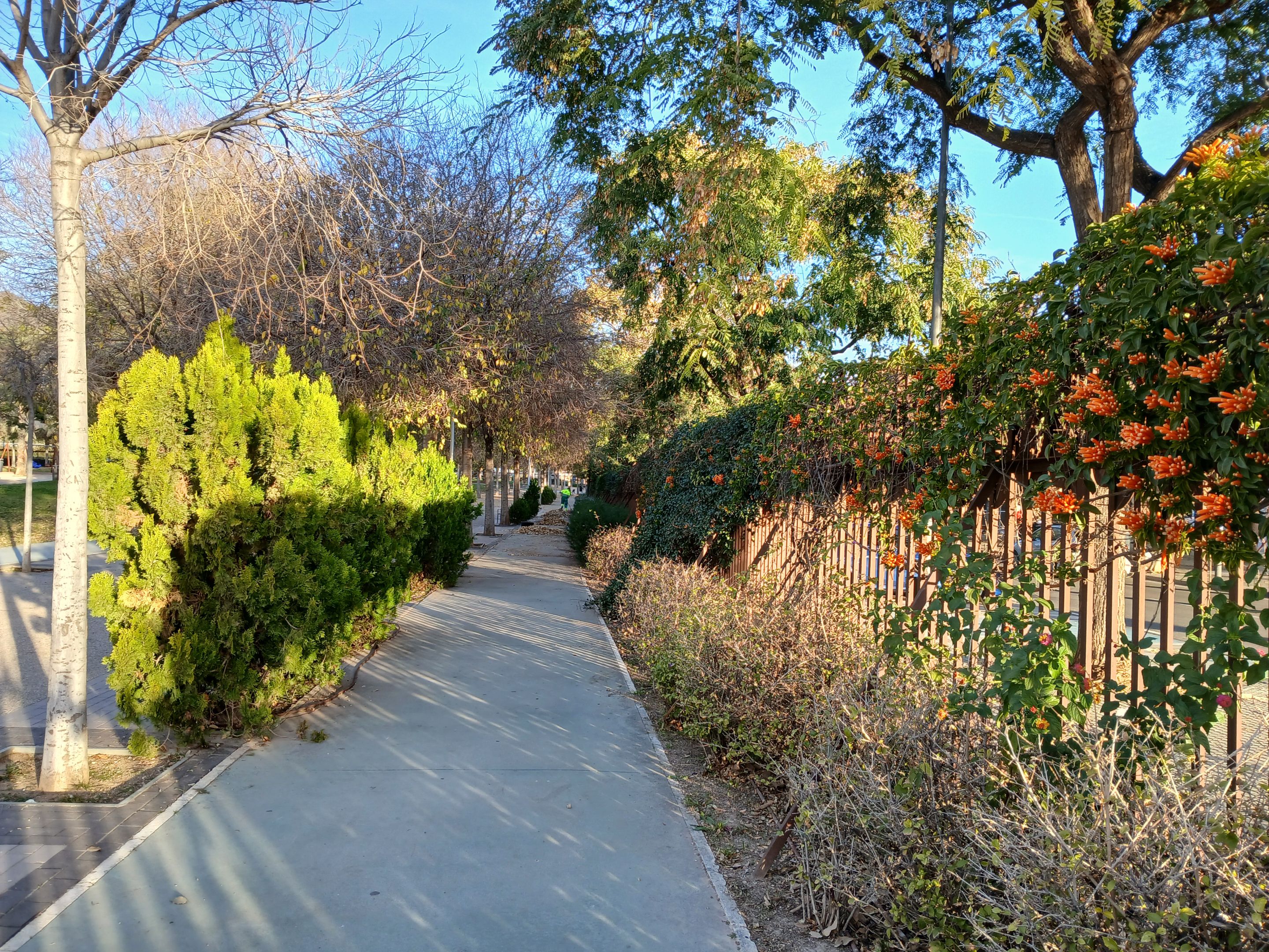 20250103_093017.jpg