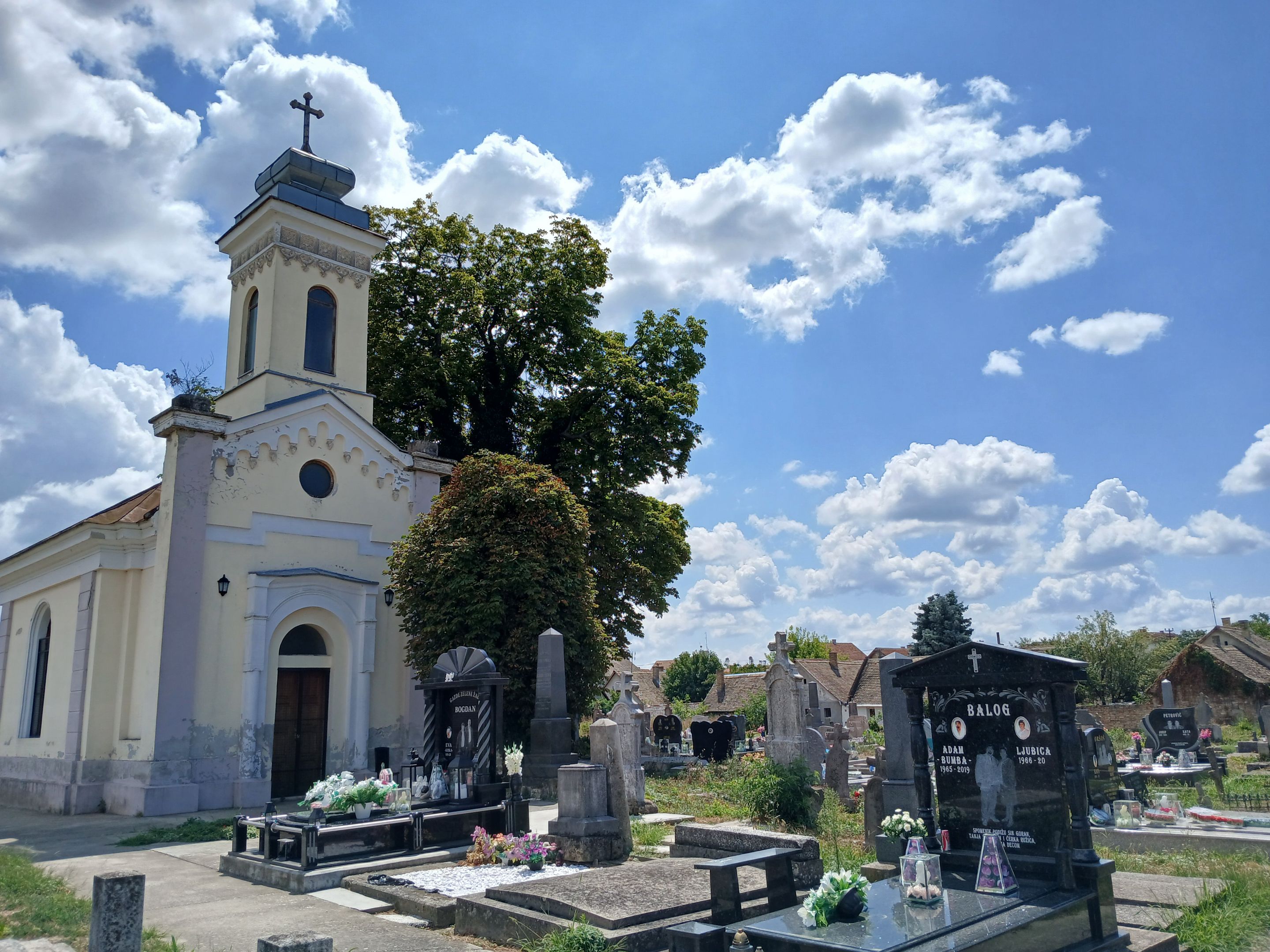 20250730_123752.jpg
