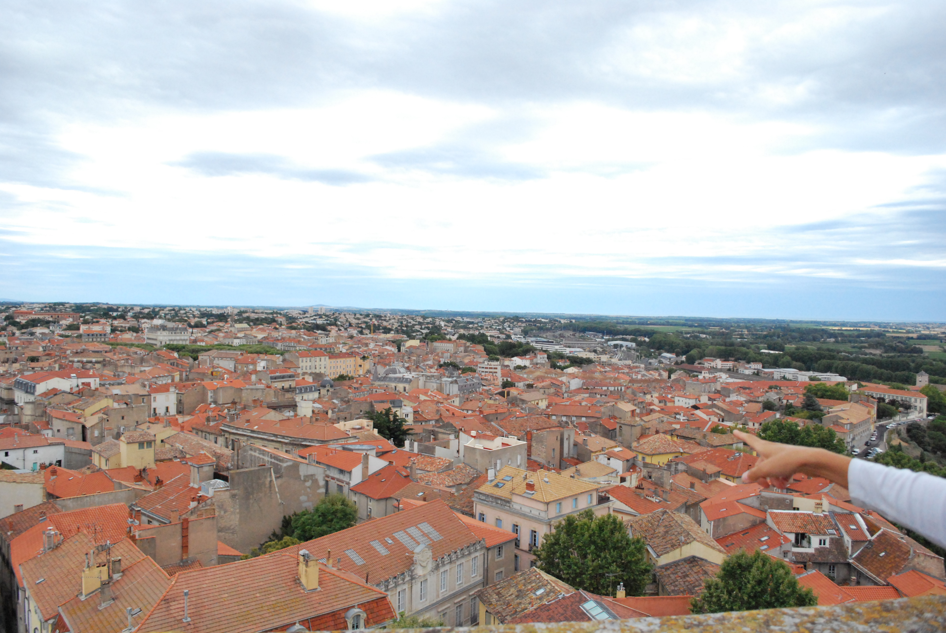 DSC_4960.JPG