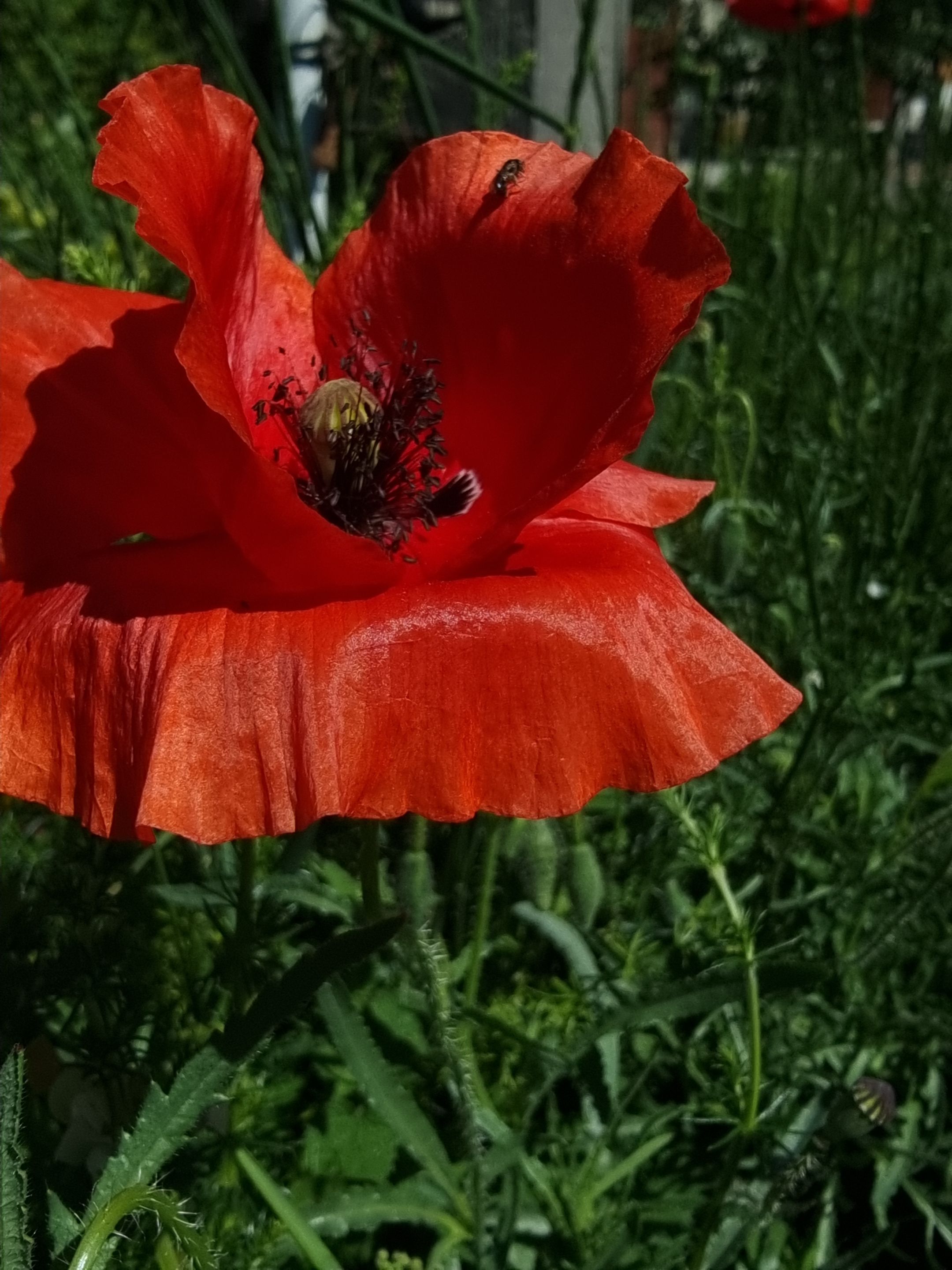 20220519_114723.jpg
