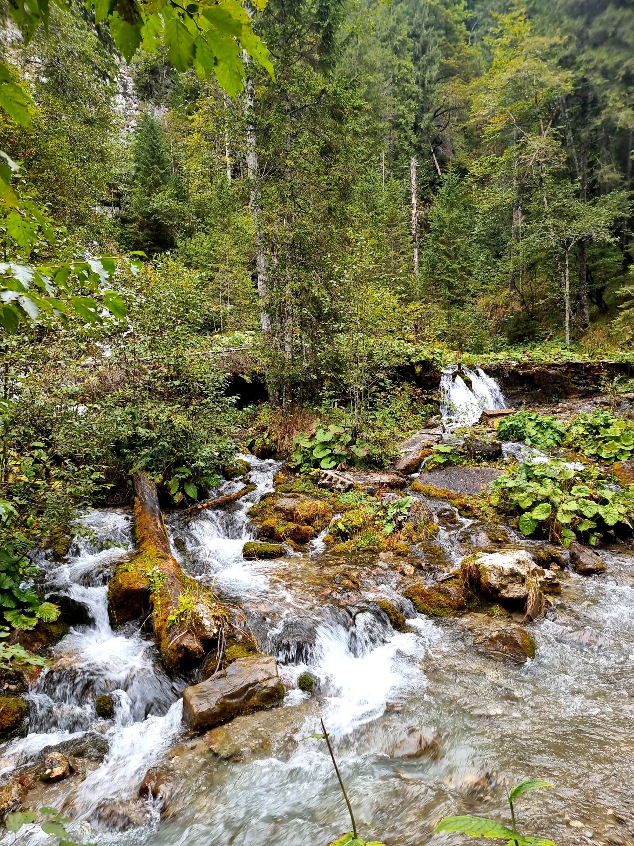 20230917_140531.jpg