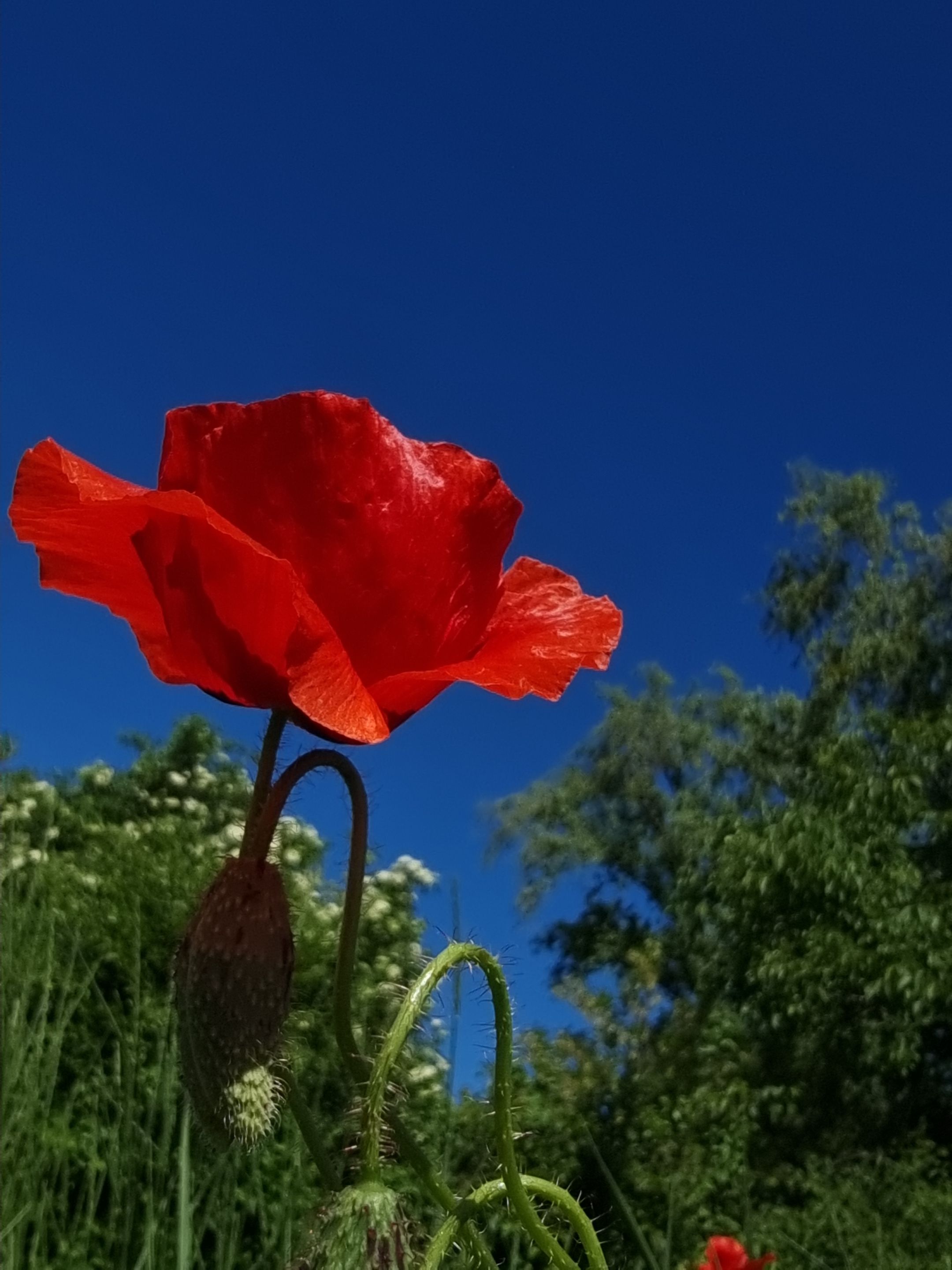 20220519_114429.jpg