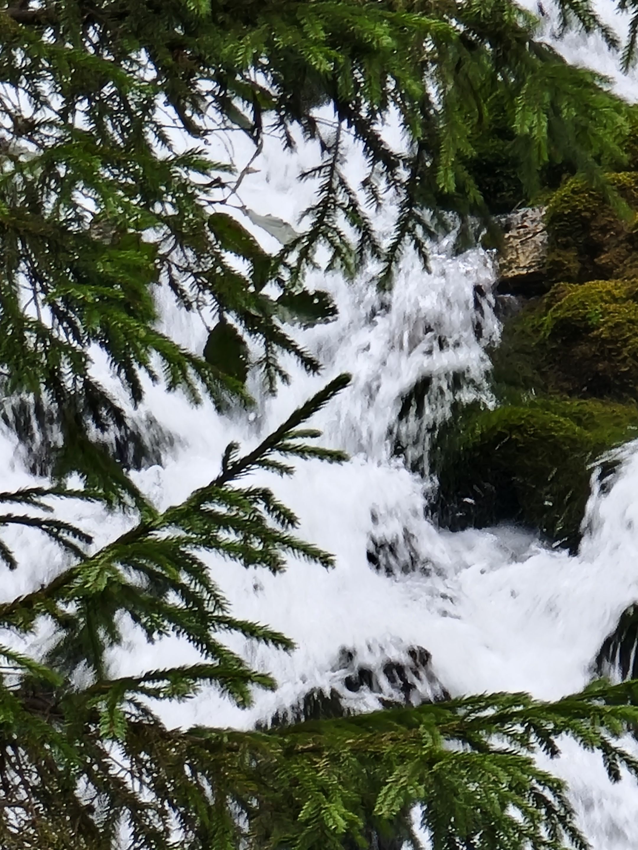 20230917_140041.jpg
