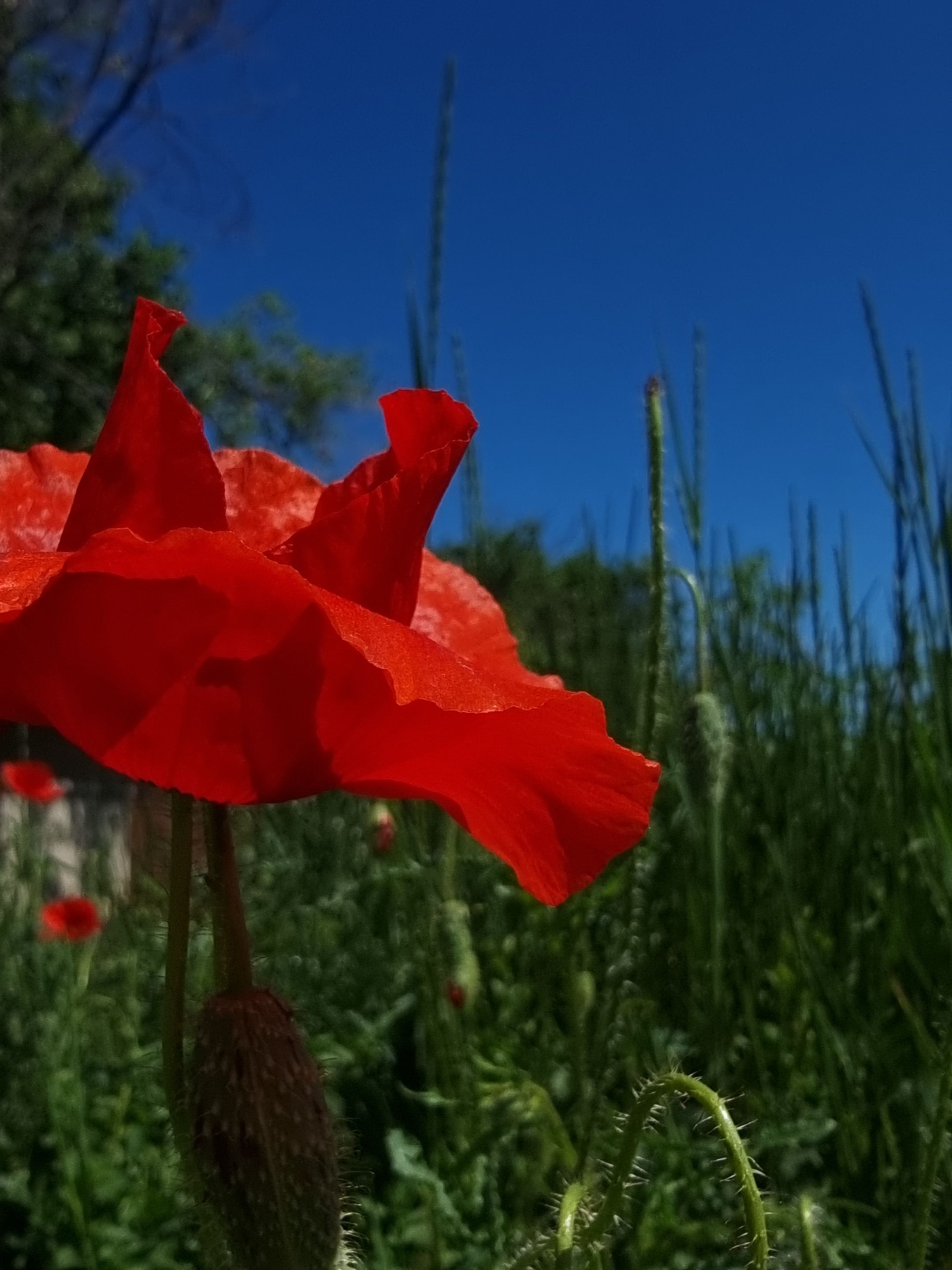 20220519_114627.jpg