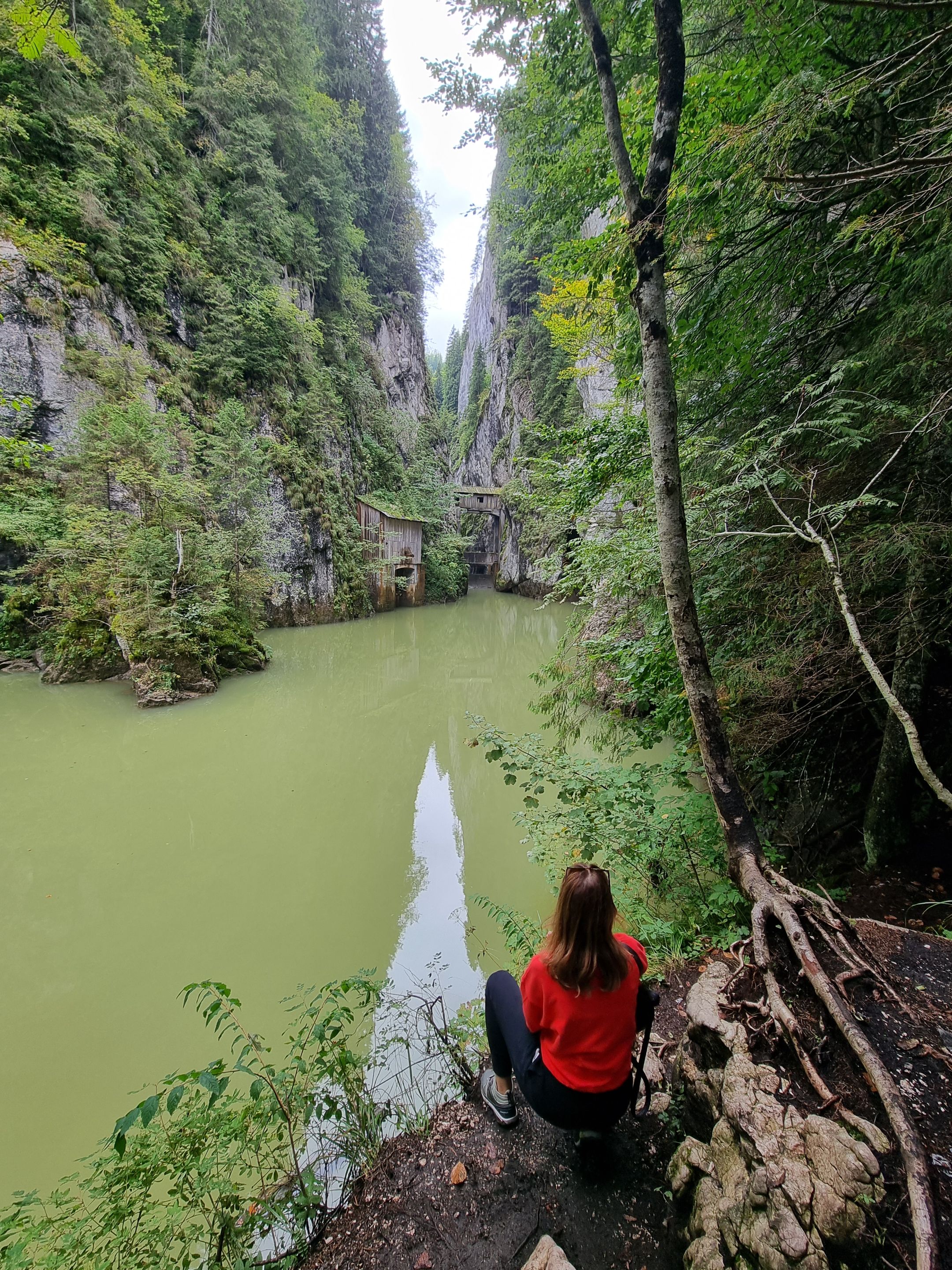 20230917_125401.jpg