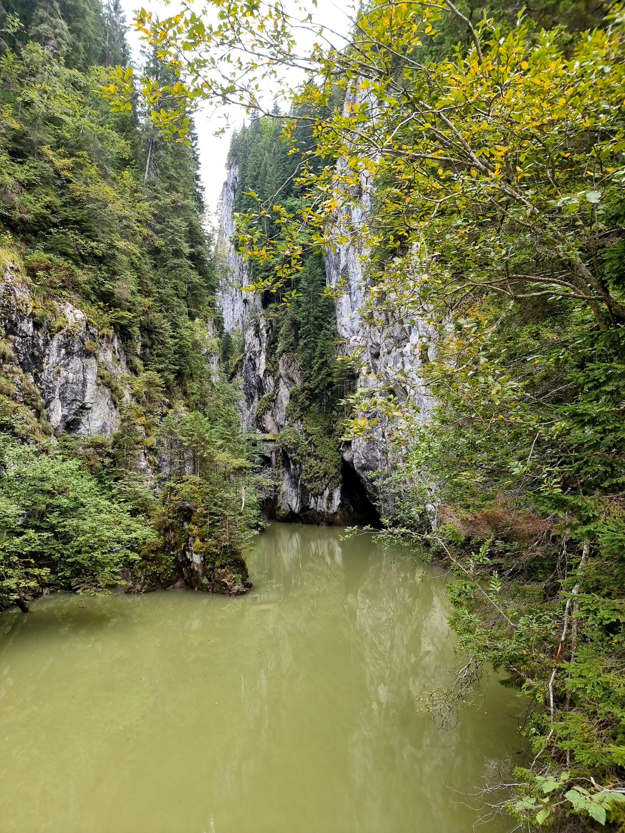 20230917_124805.jpg