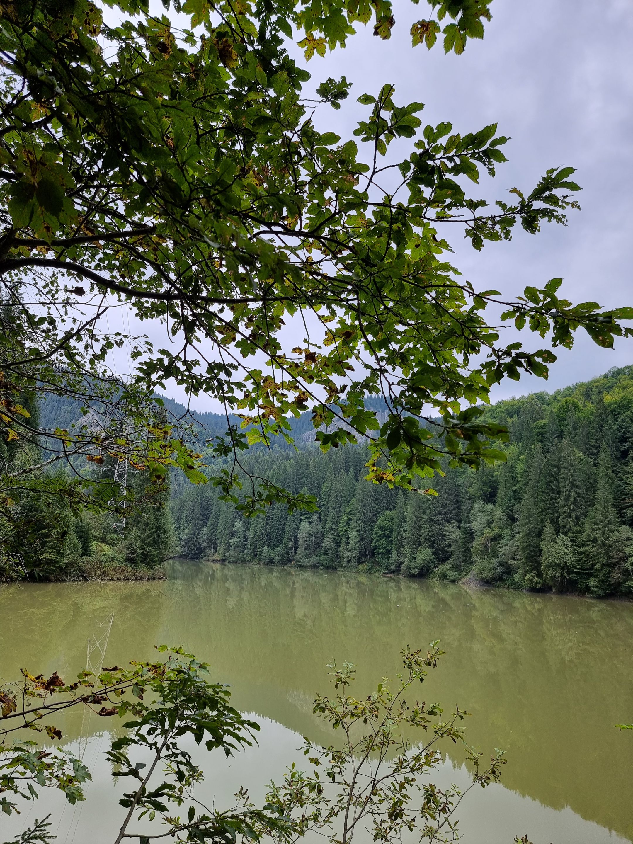 20230917_125911.jpg