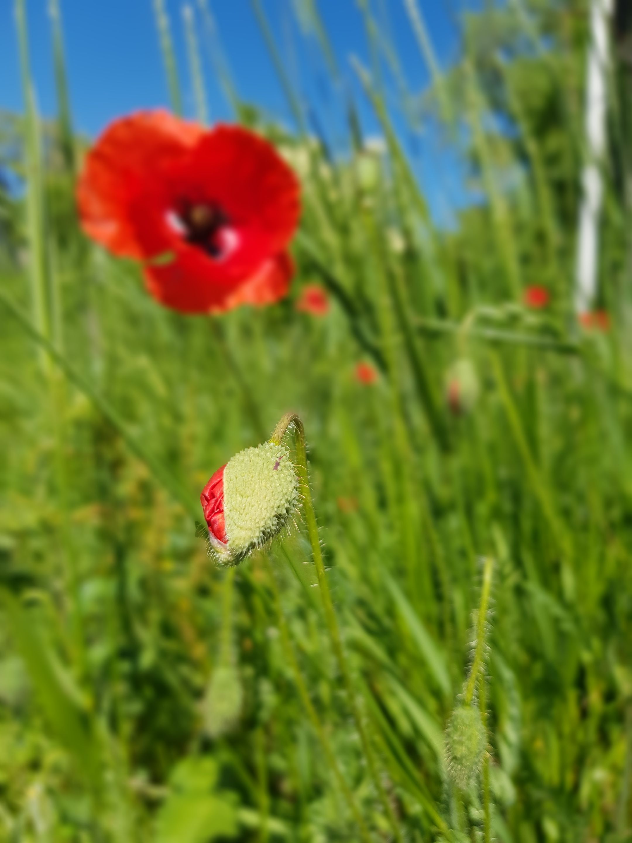 20220519_112515.jpg