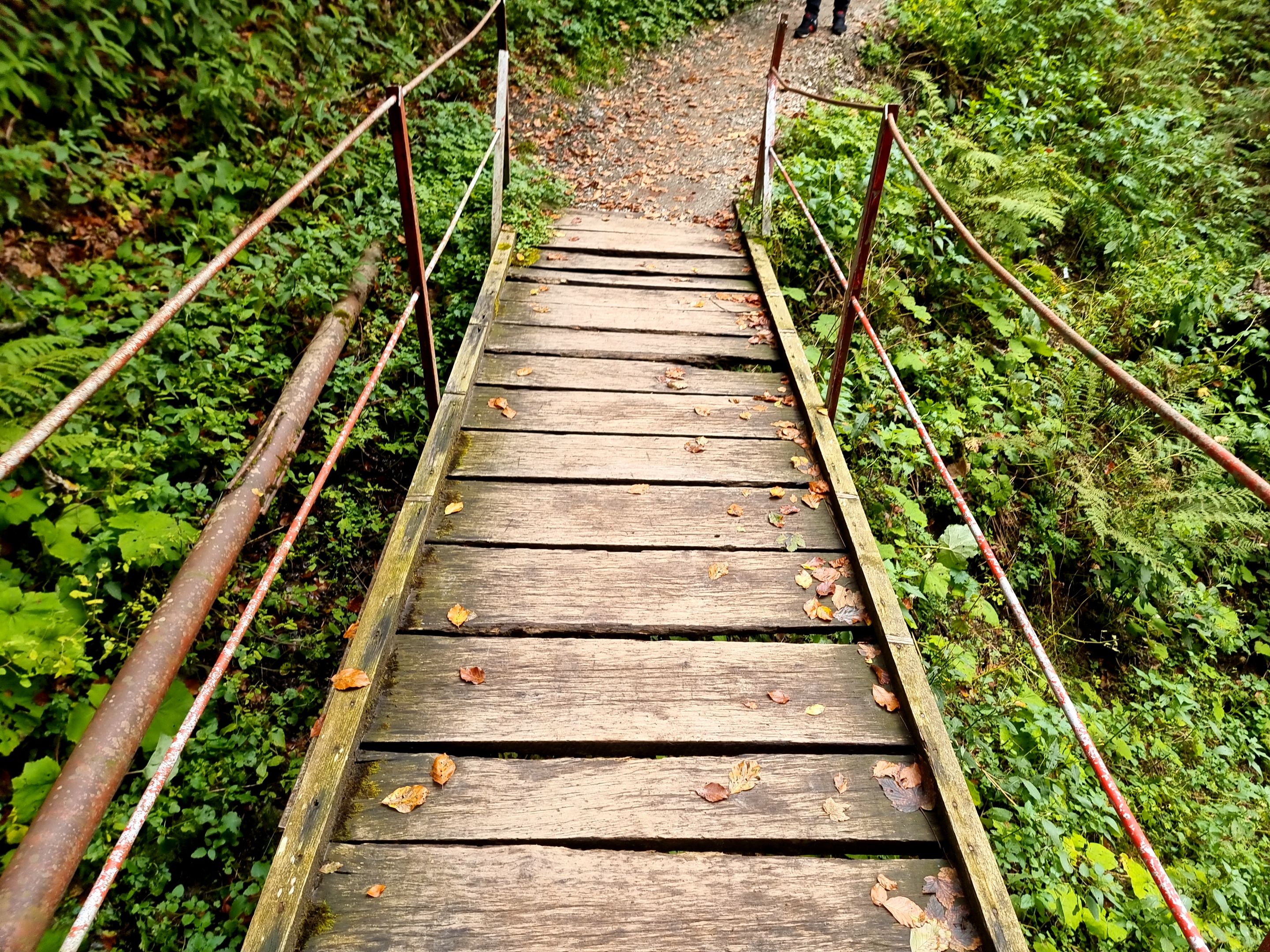 20230917_124714.jpg