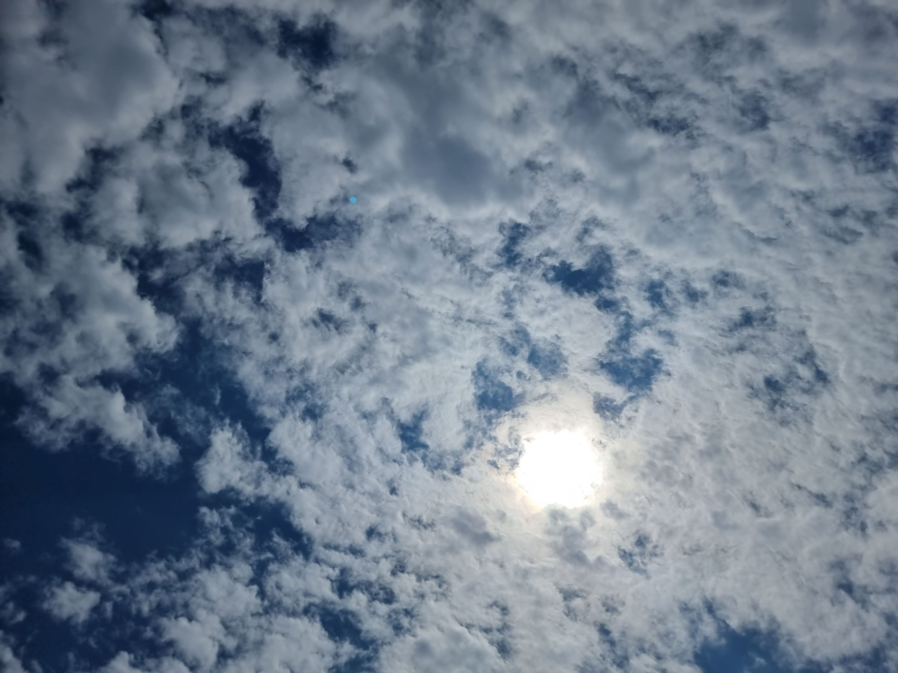 20220523_142955.jpg