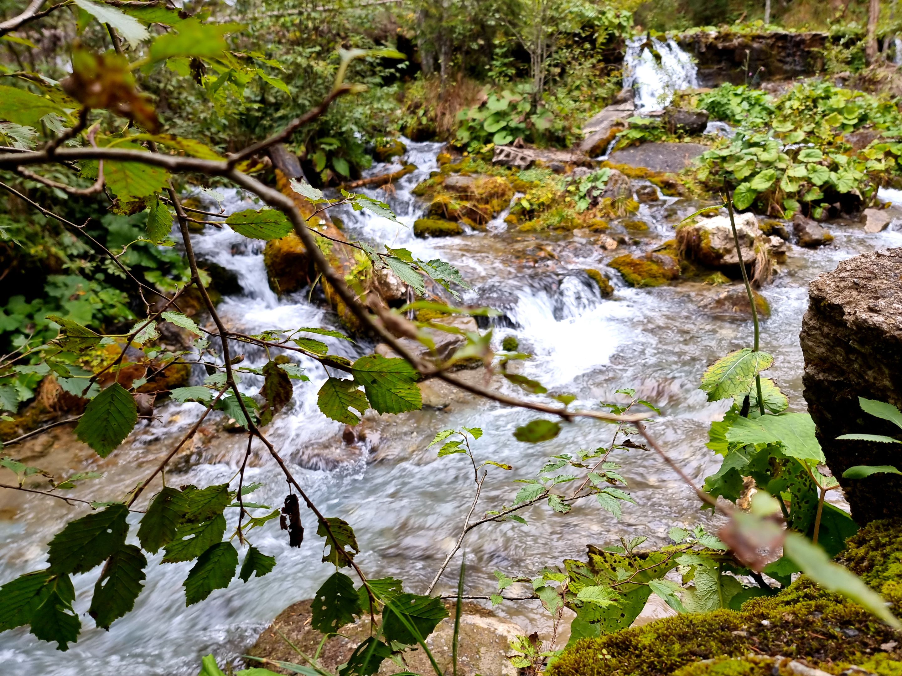 20230917_140535.jpg