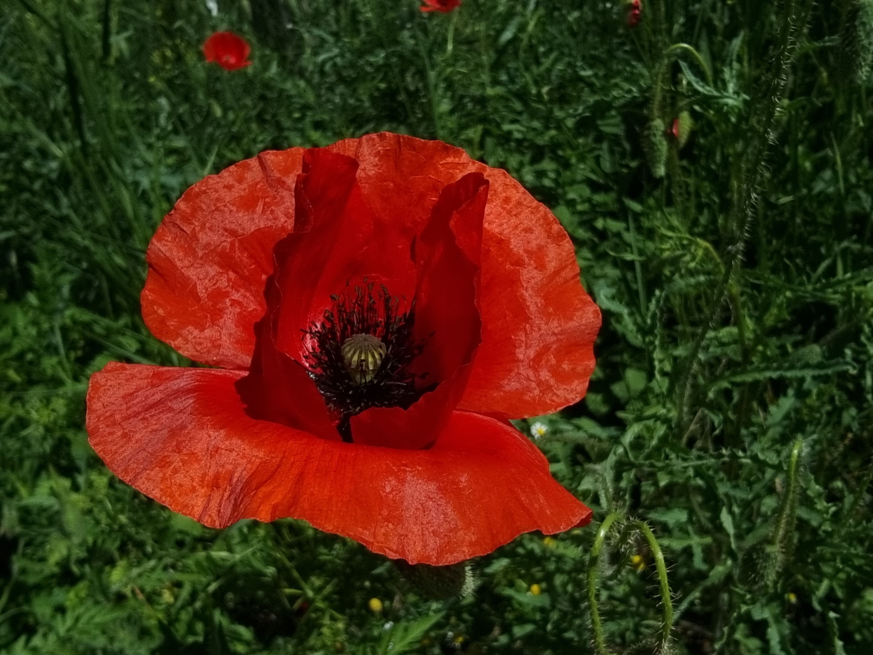 20220519_114559.jpg