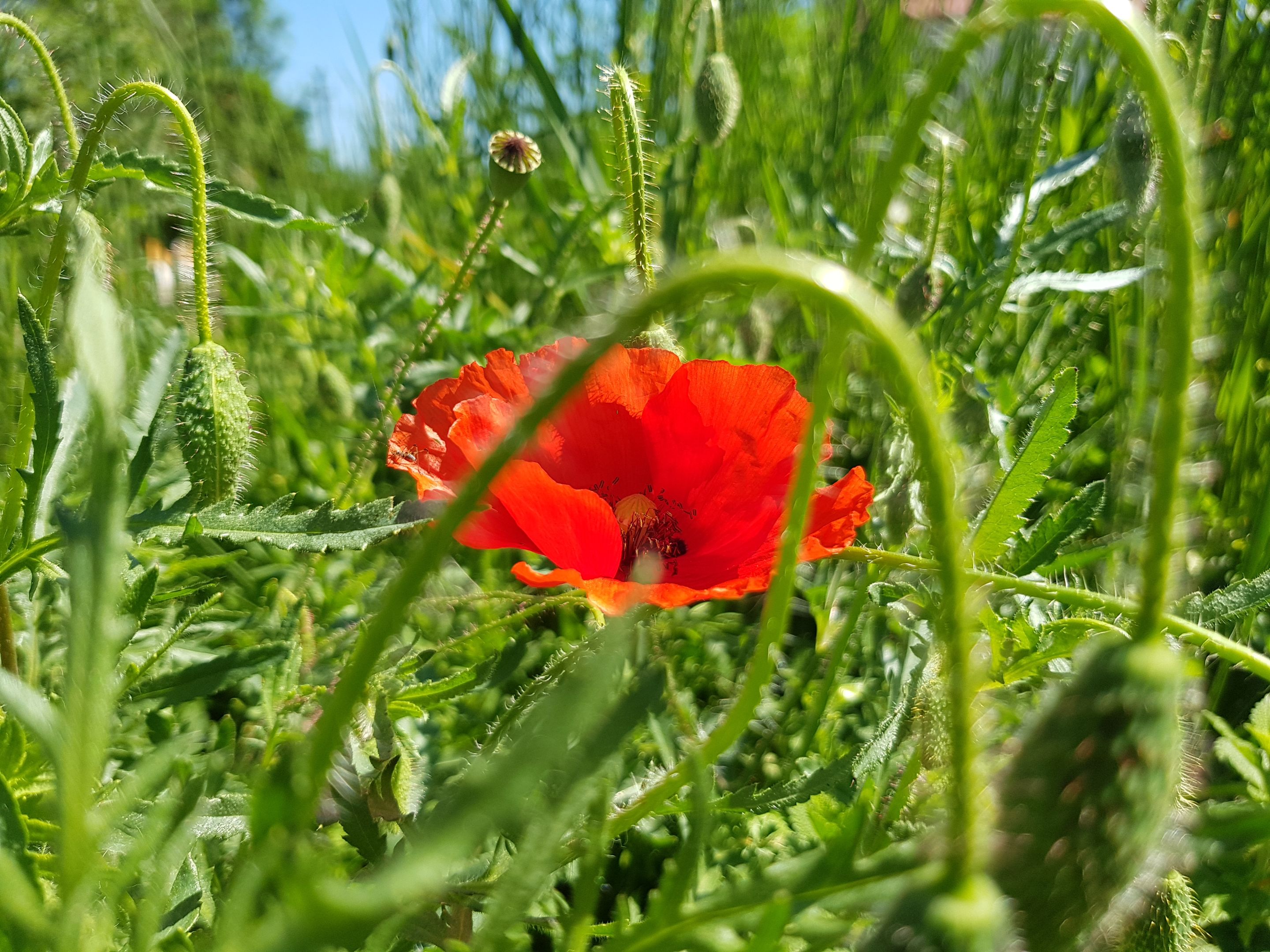 20220519_112224.jpg