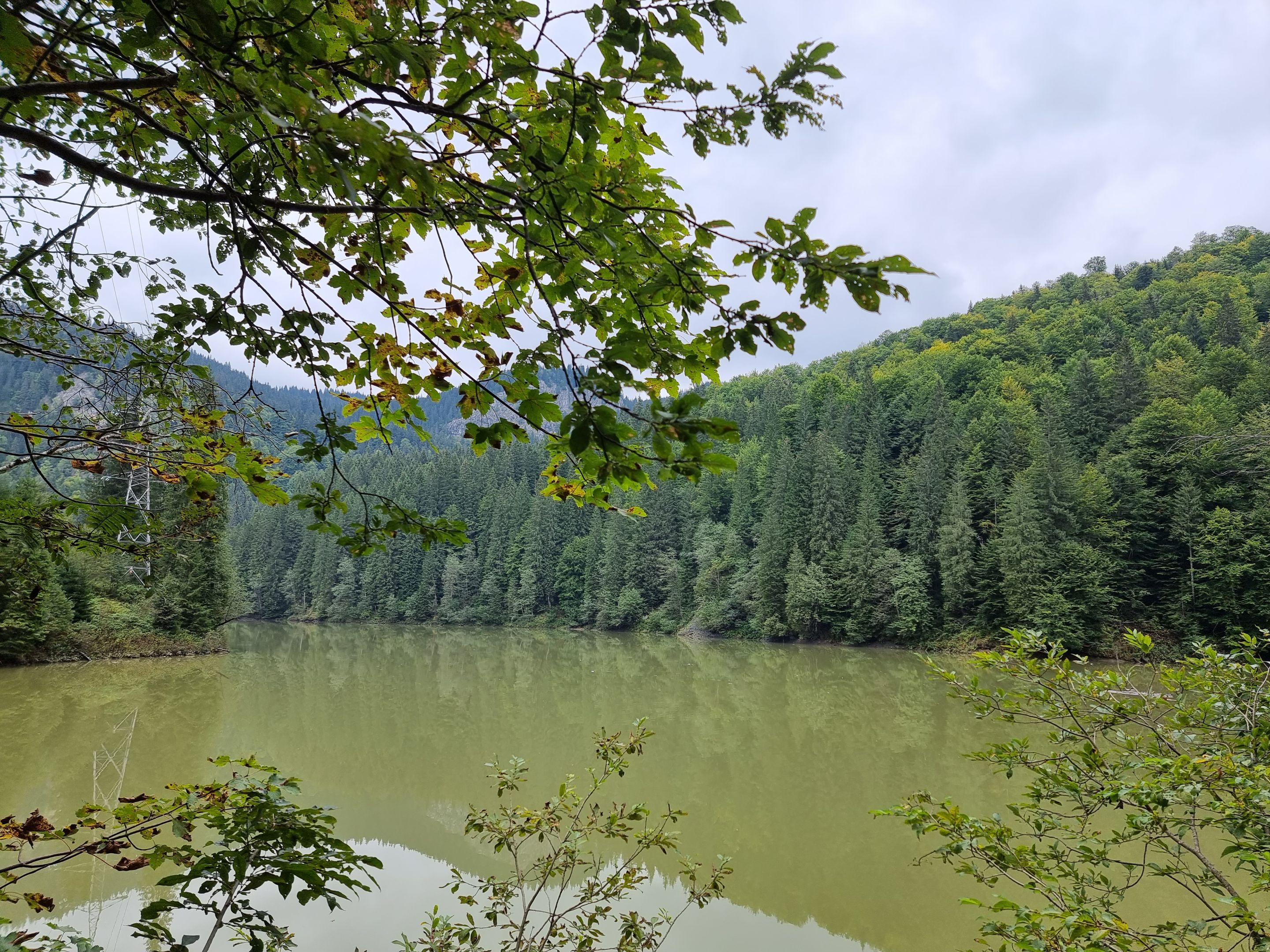 20230917_125908.jpg