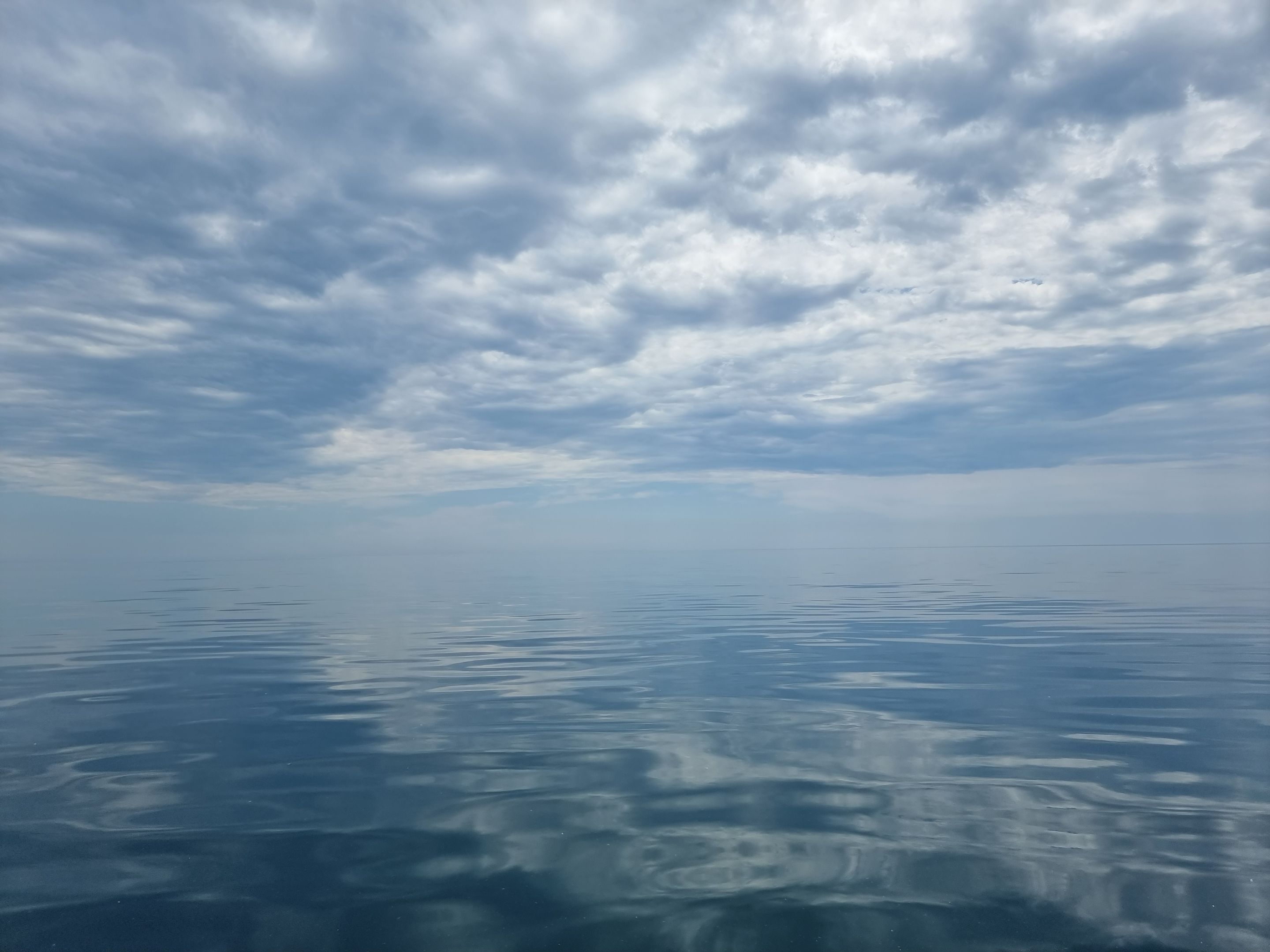 20220523_131009.jpg