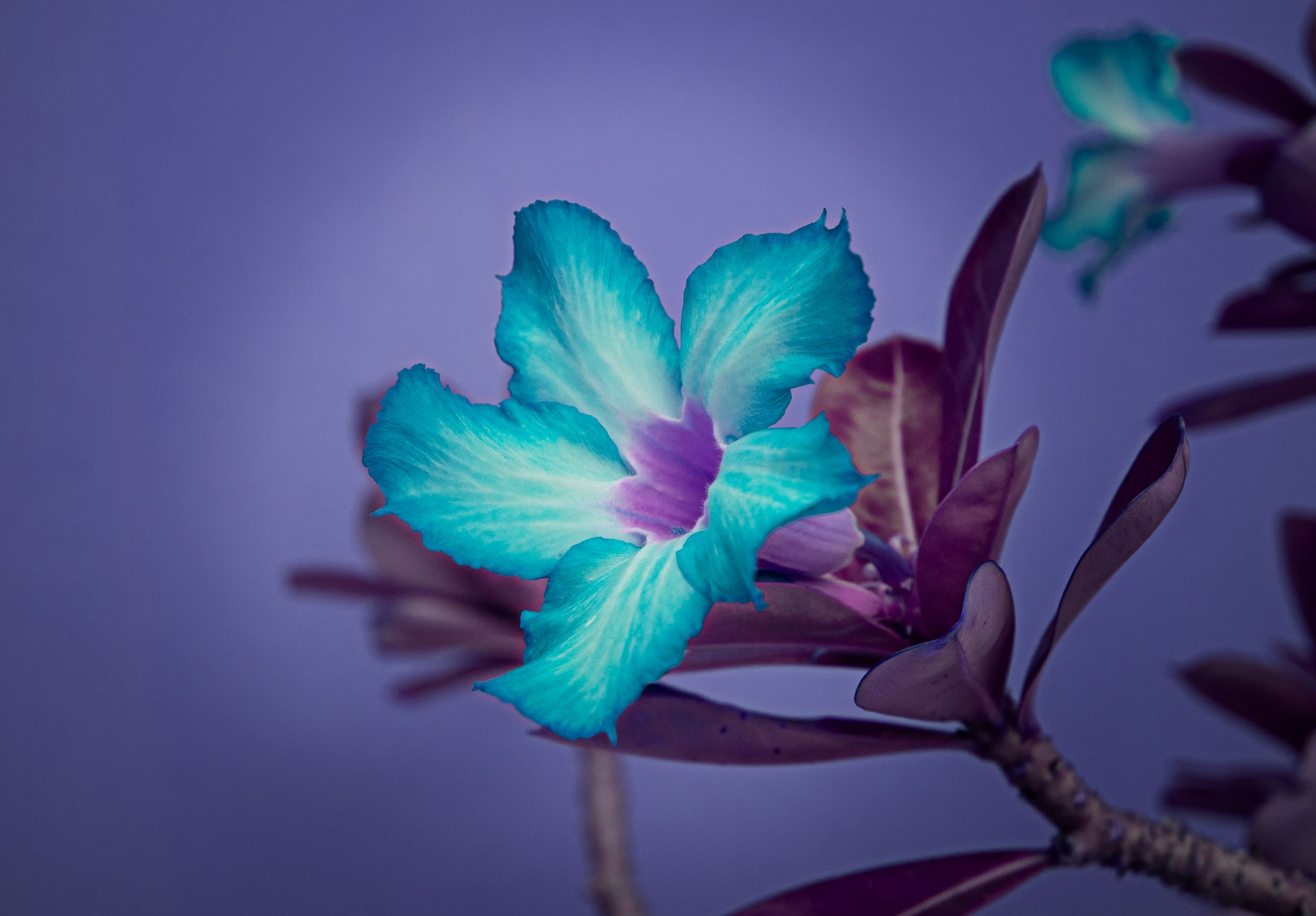 img_6286.png