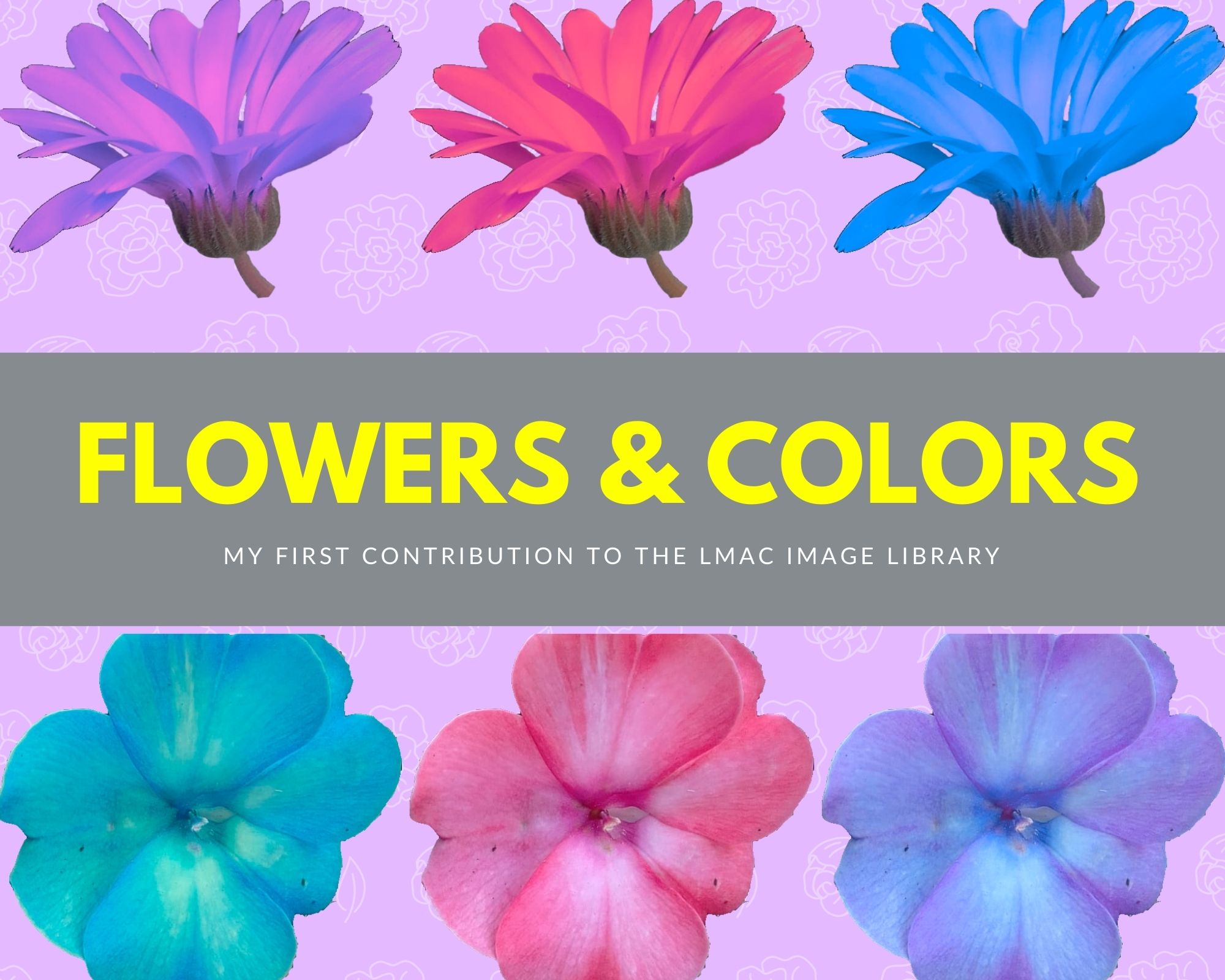 Flowers & Colors.jpg