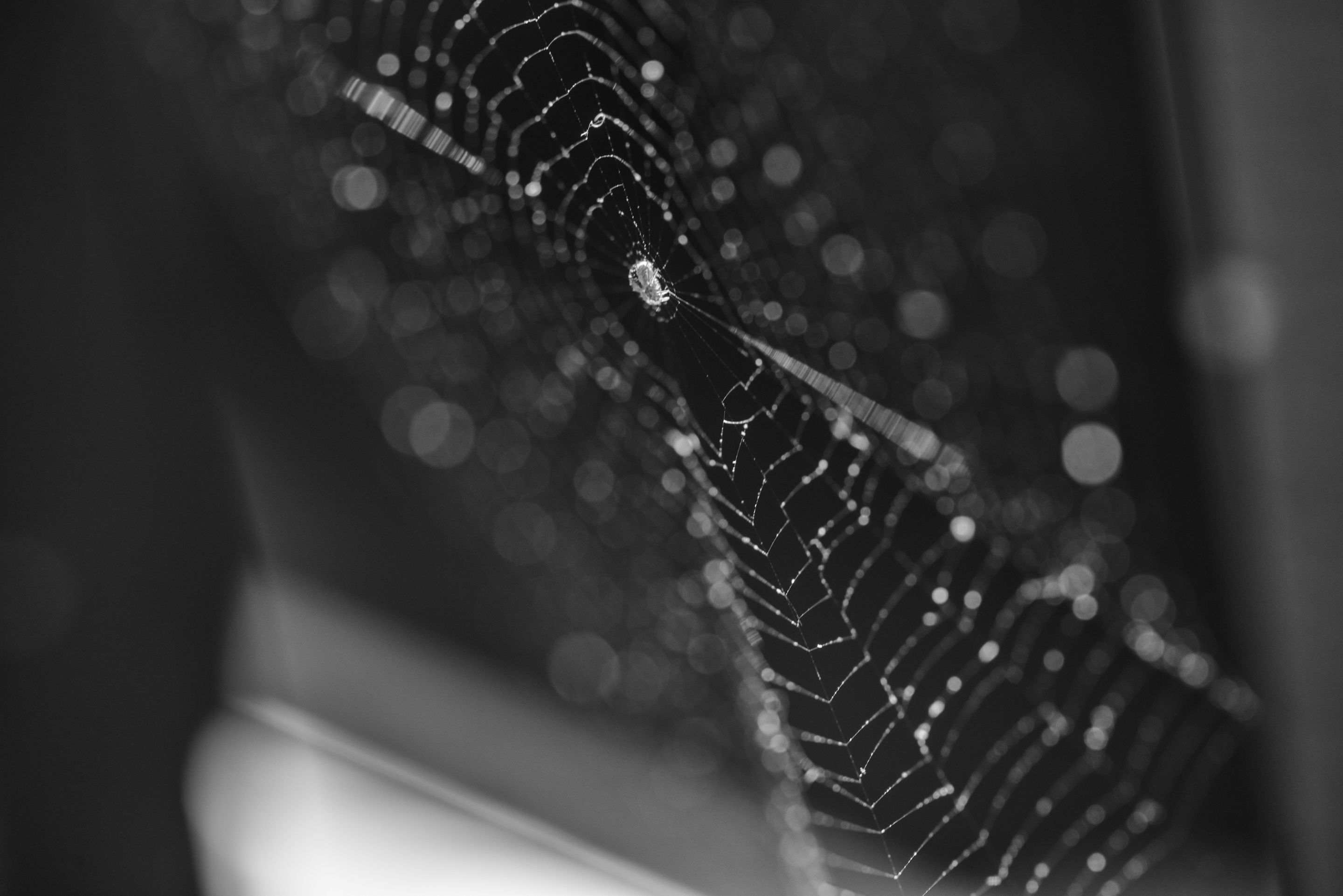 DSC_4528-Edit.JPG