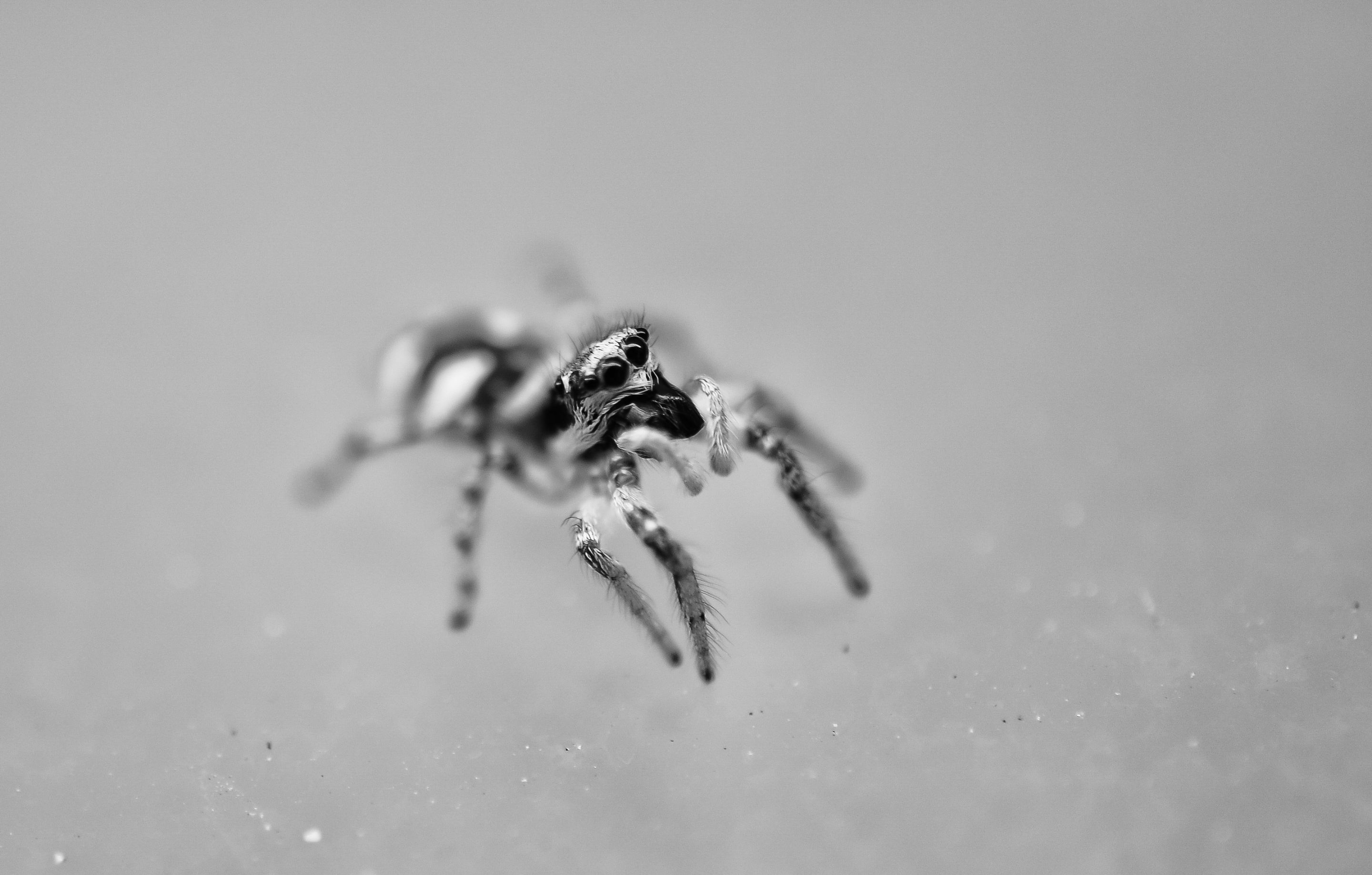 DSC_2670-Edit.JPG