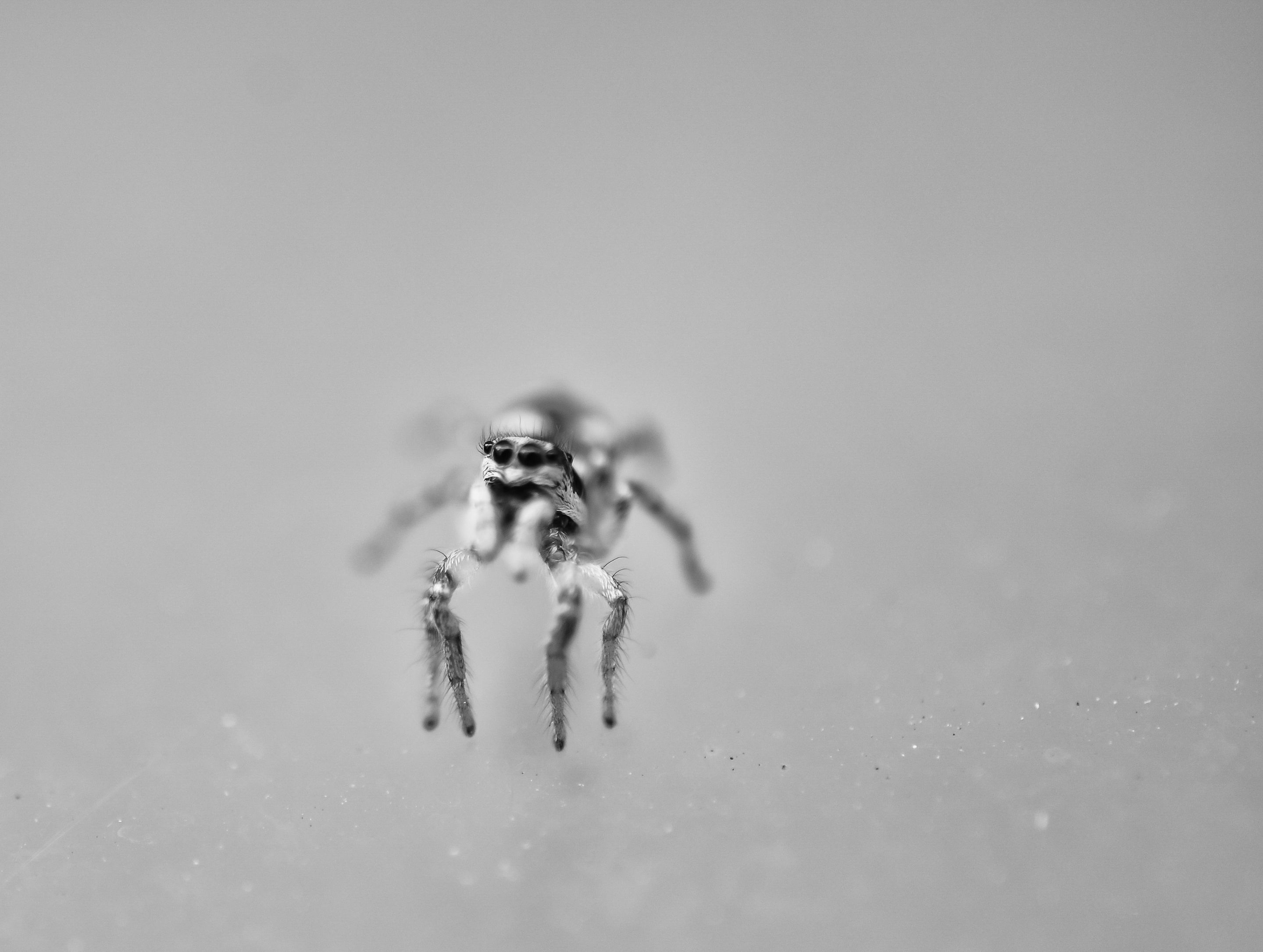 DSC_2661-Edit-2.JPG