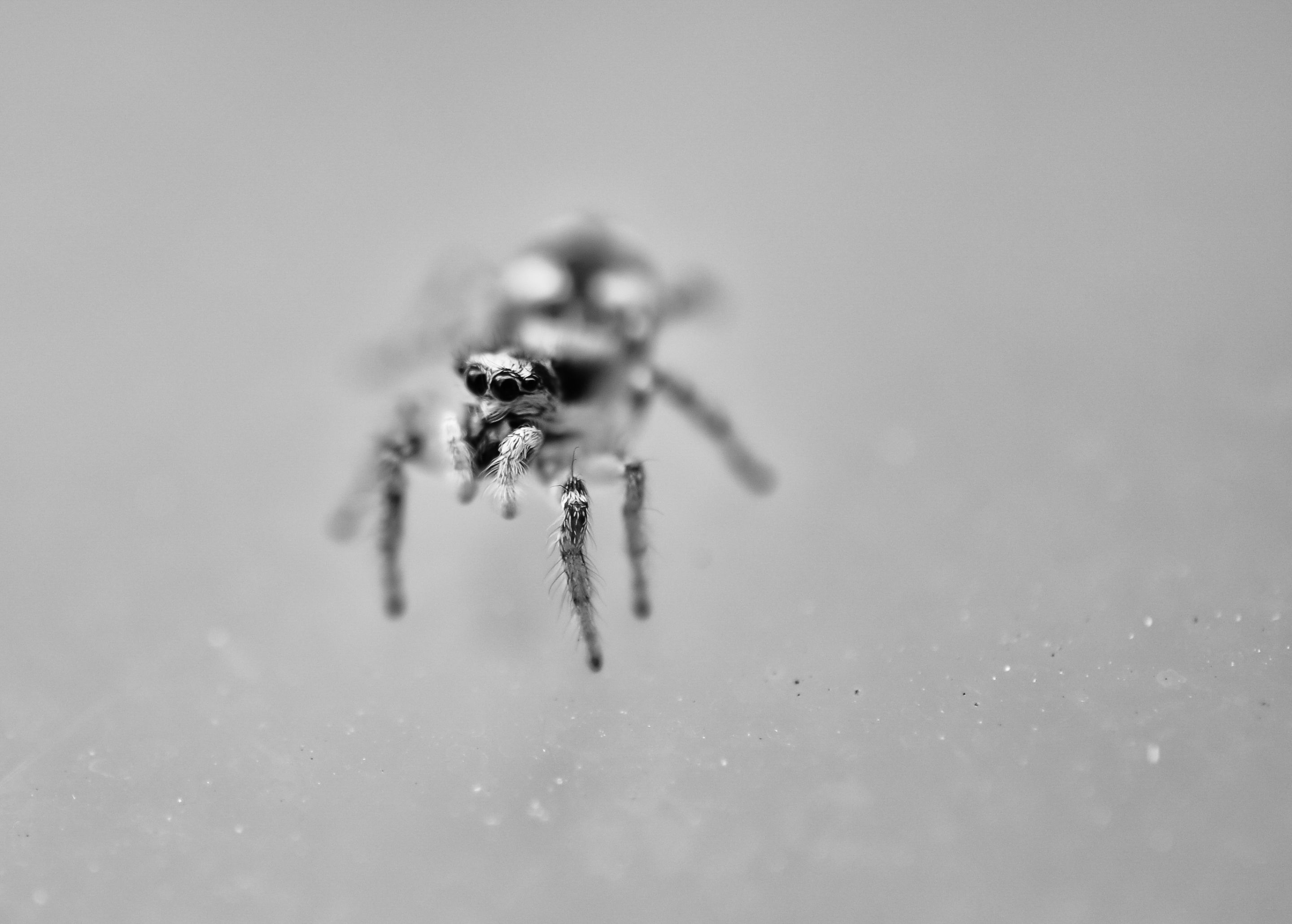DSC_2663-Edit.JPG