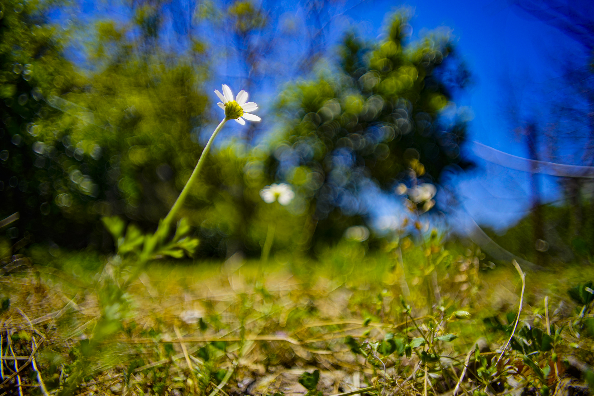 _DSC1404.jpg