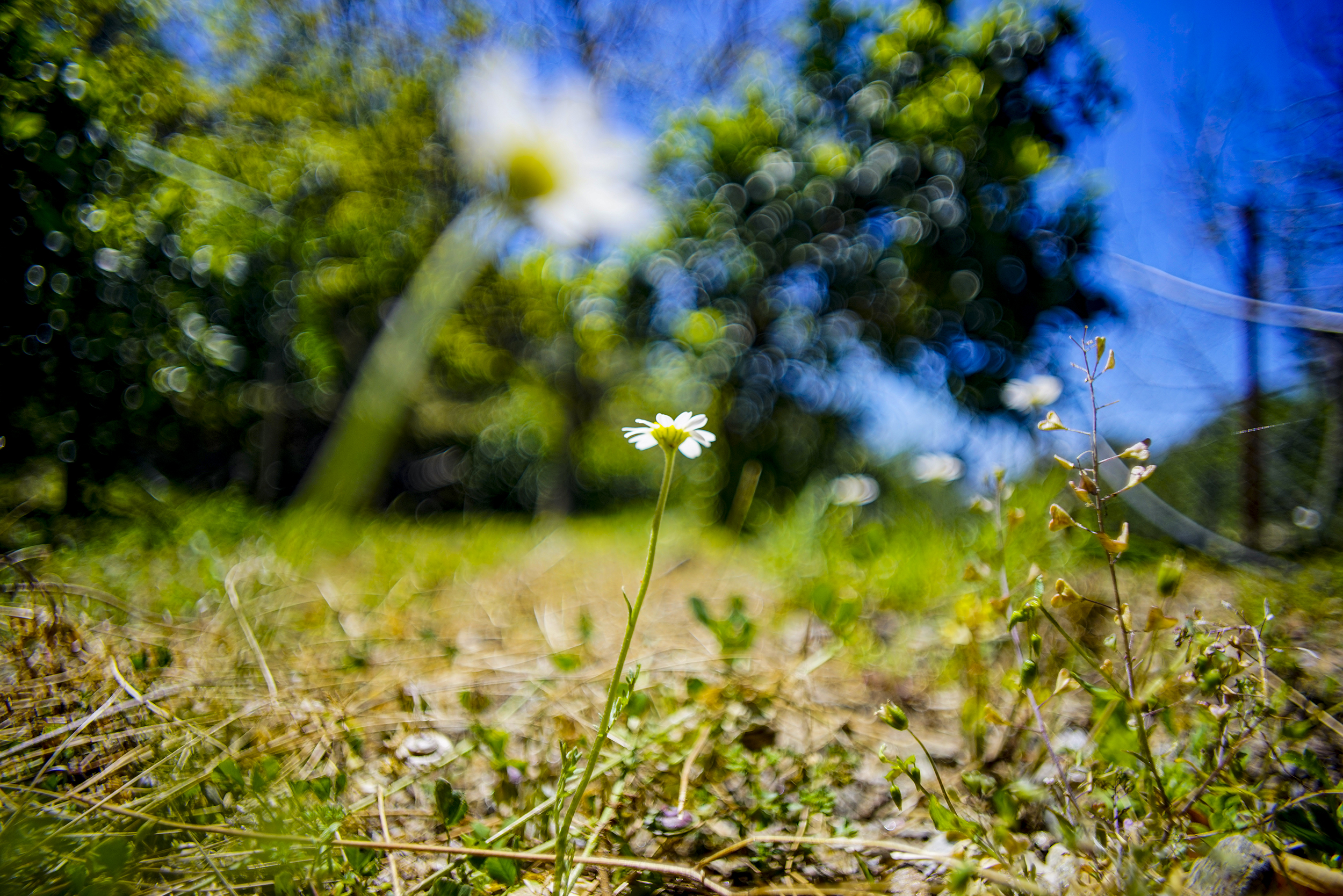 _DSC1405.jpg