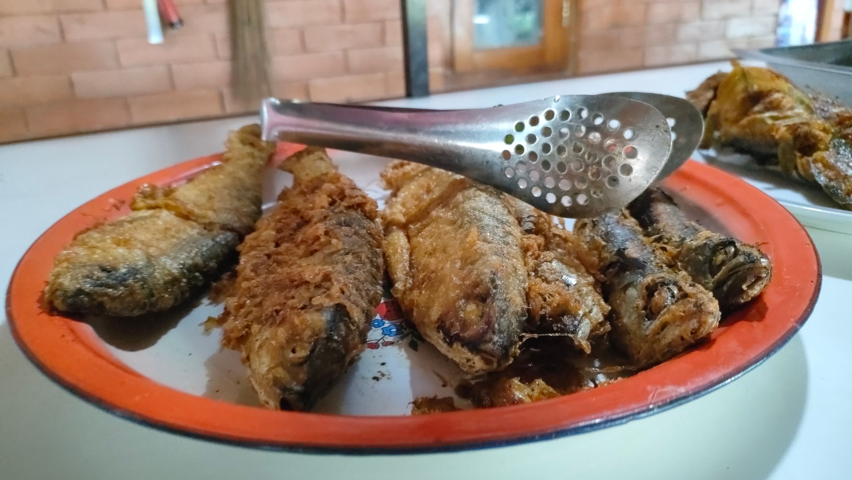 IMG20250629114122.jpg