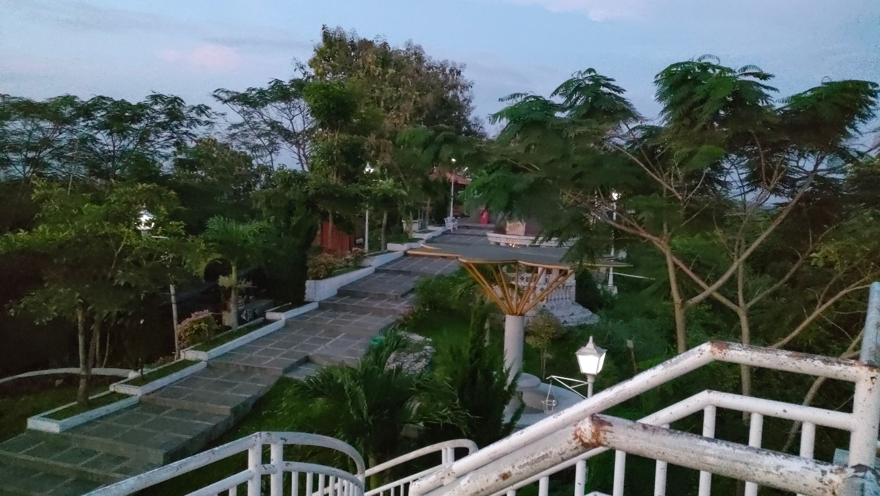 IMG20250527173816.jpg
