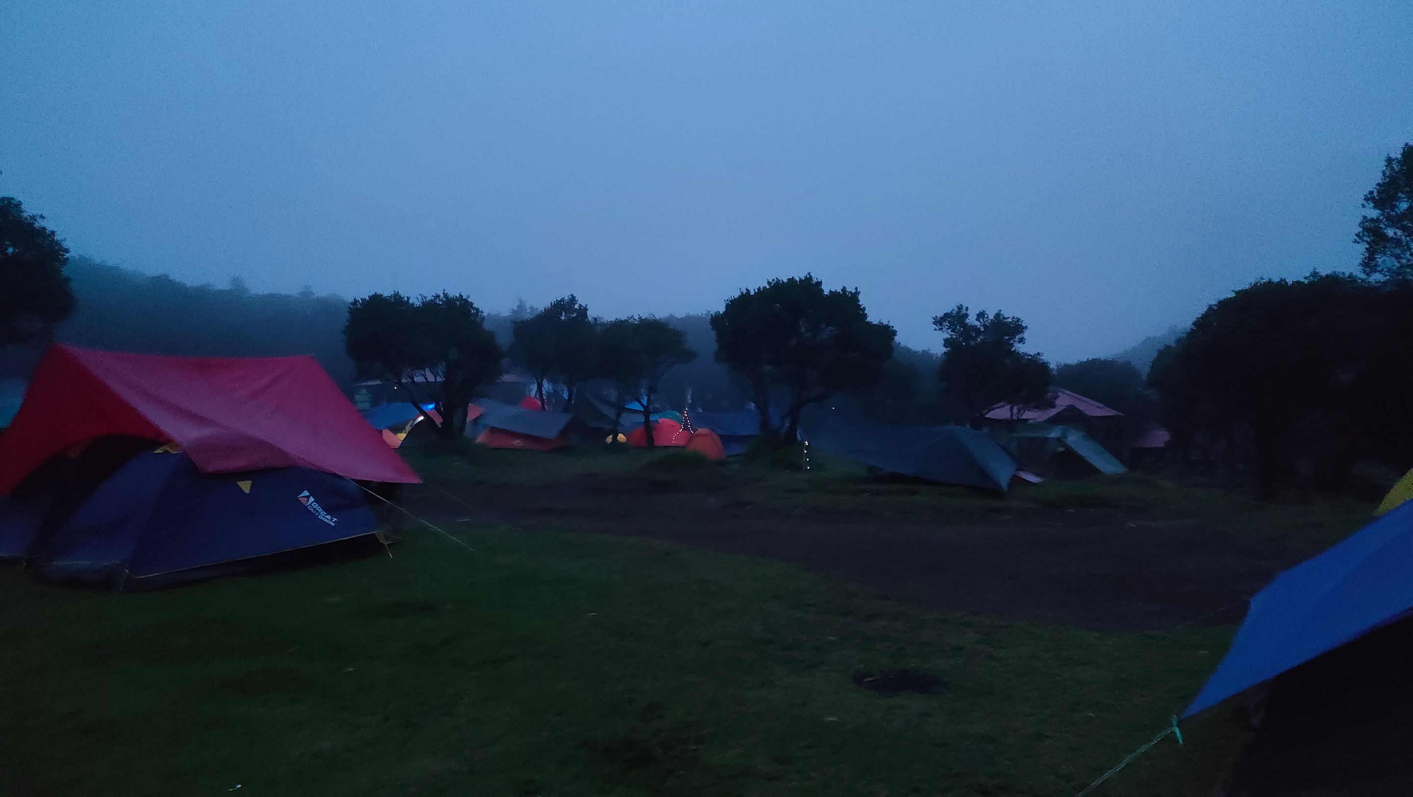 IMG20240630054829.jpg