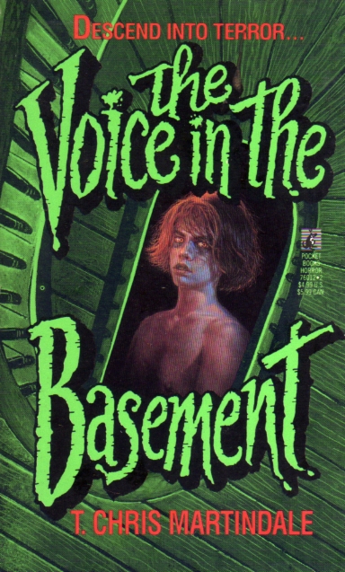 Voice in the Basement.jpg